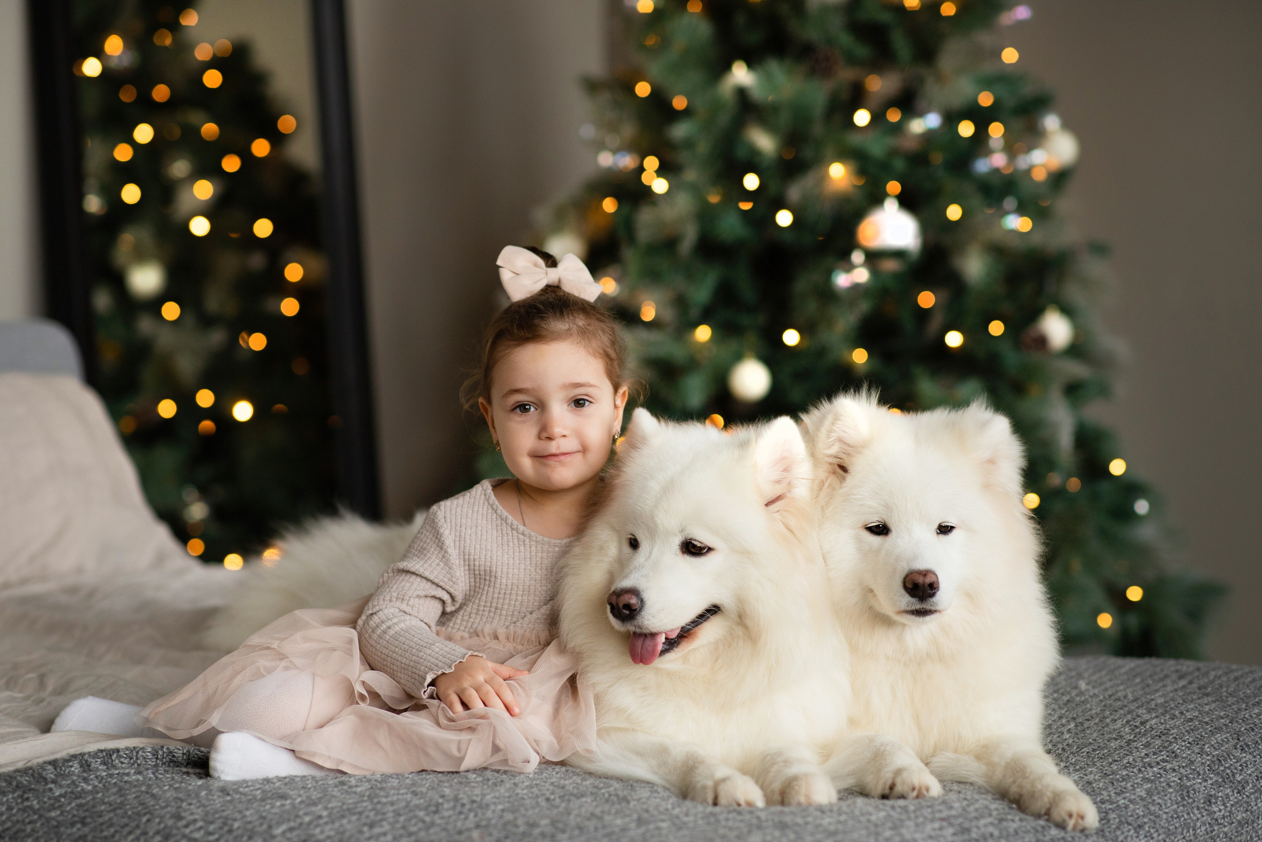 Фотосессия с животными в студии. Фотопроекты, фотодни и фотосессии в Москве