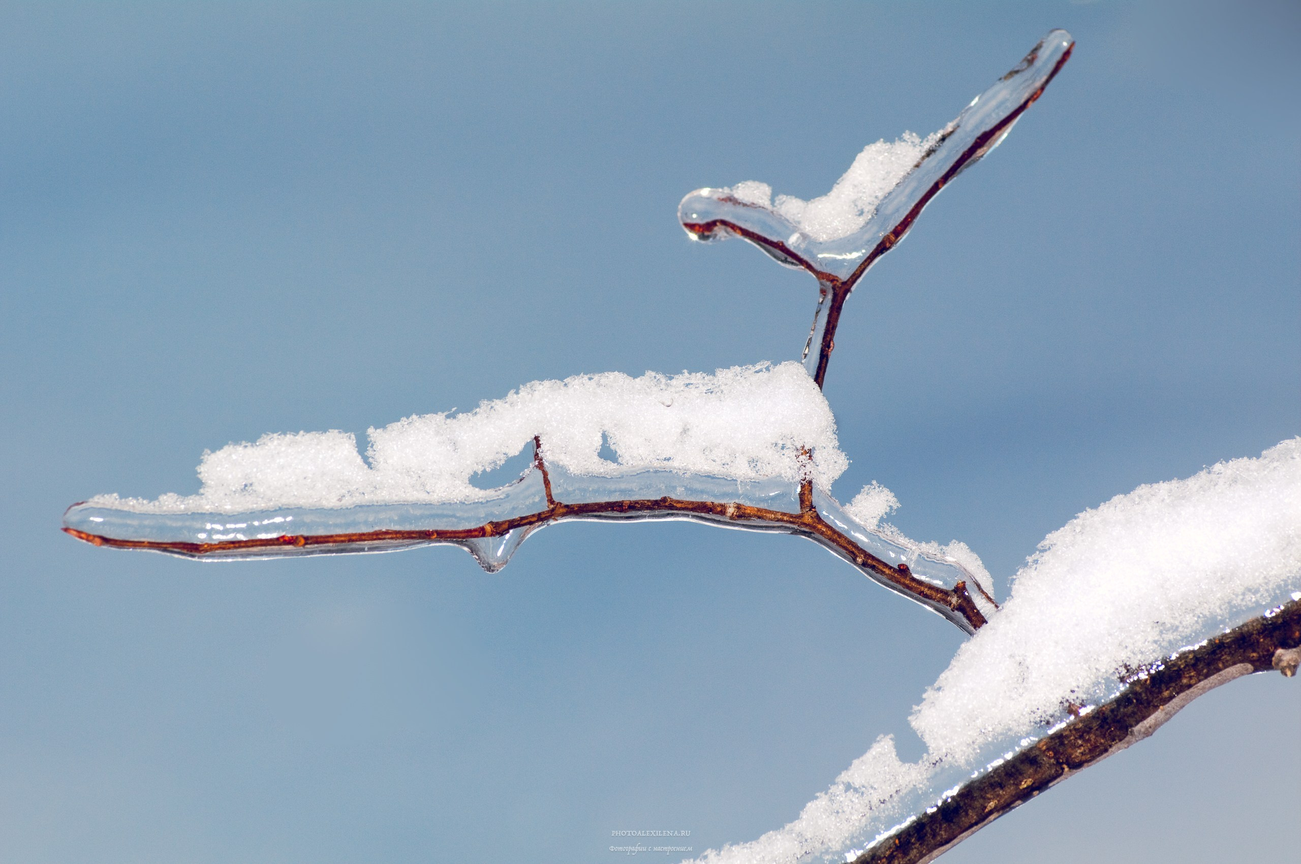 Осязаемая красота. Авторские стильные фотокартины