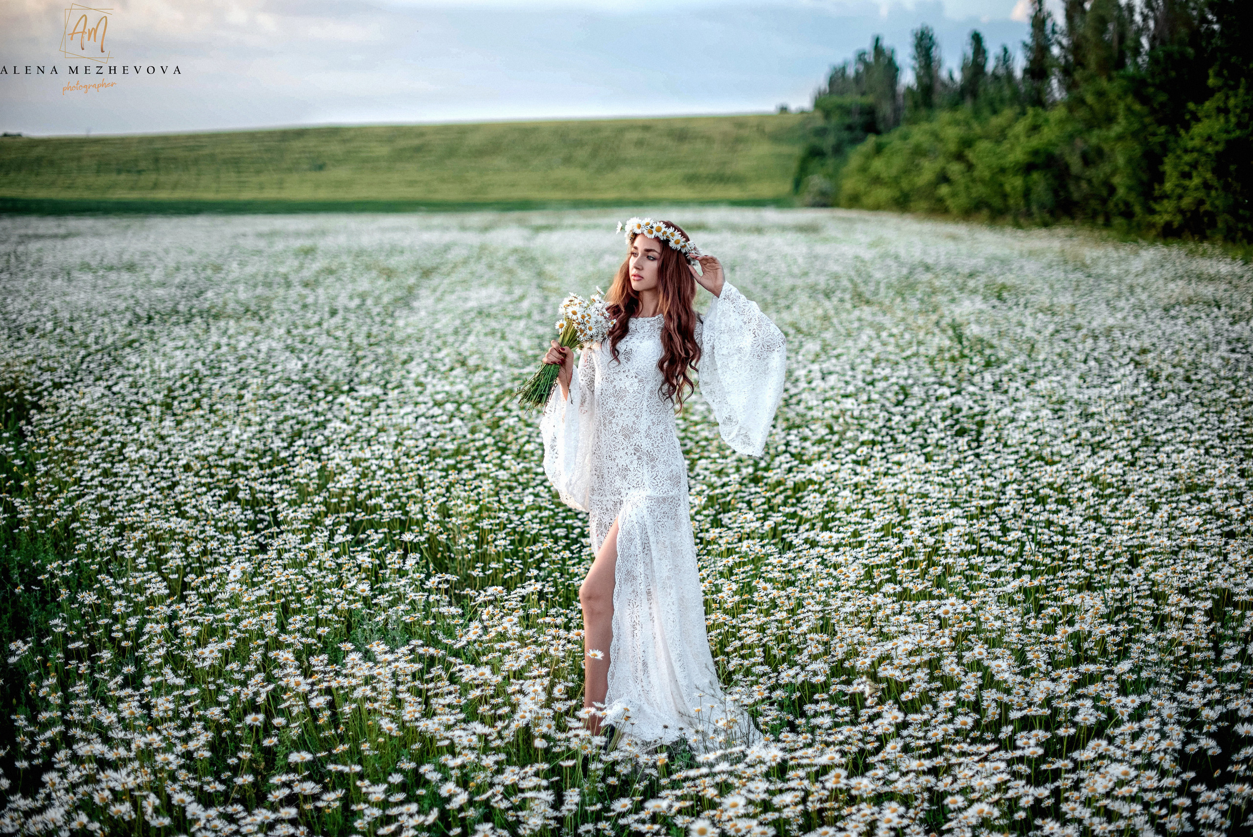 Фотосессии в ромашковом поле. Свадебный и семейный фотограф и видеограф, Крым, Москва, Санкт -Петербург