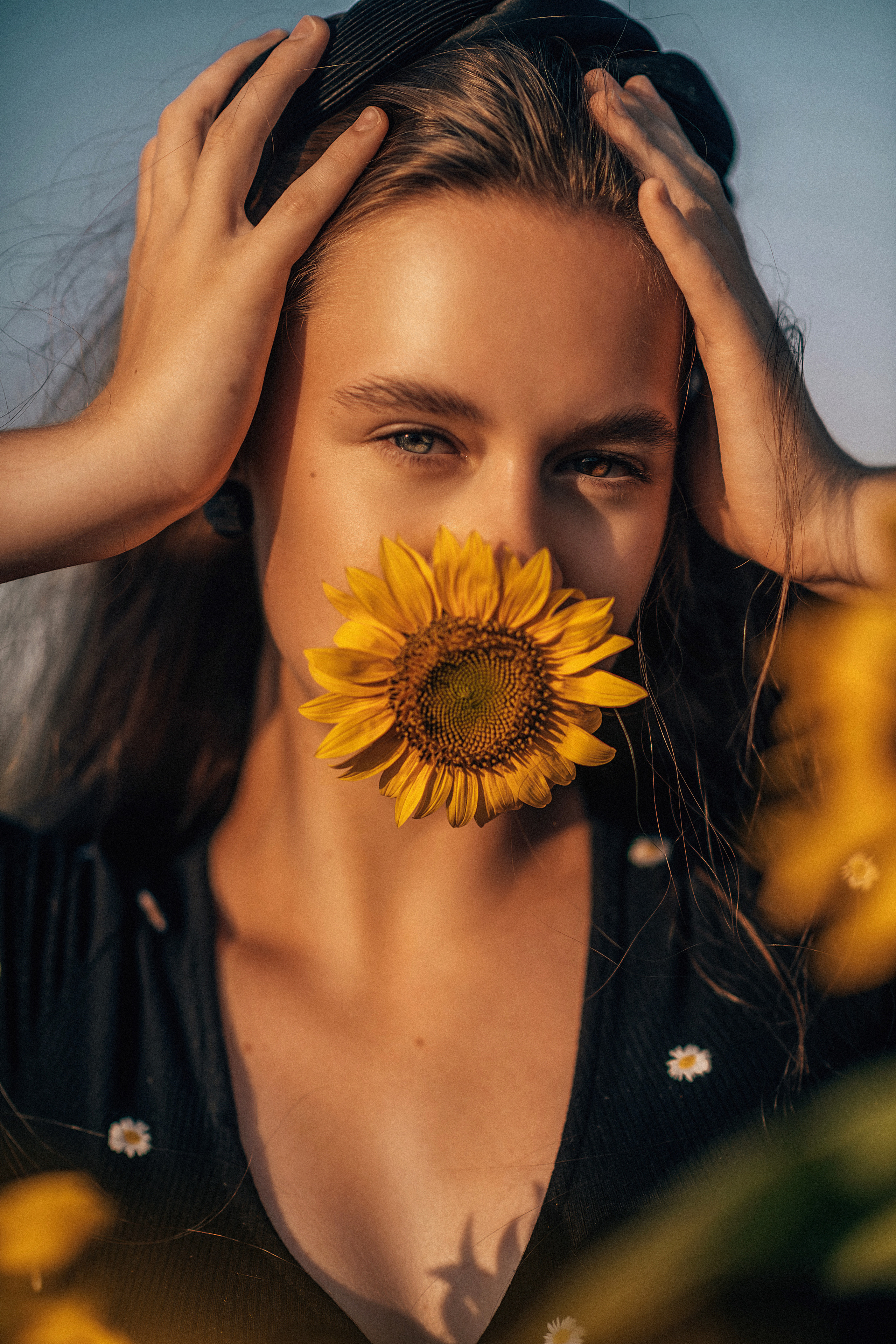 Подсолнухи. Свадебный и семейный фотограф и видеограф, Крым, Москва, Санкт -Петербург