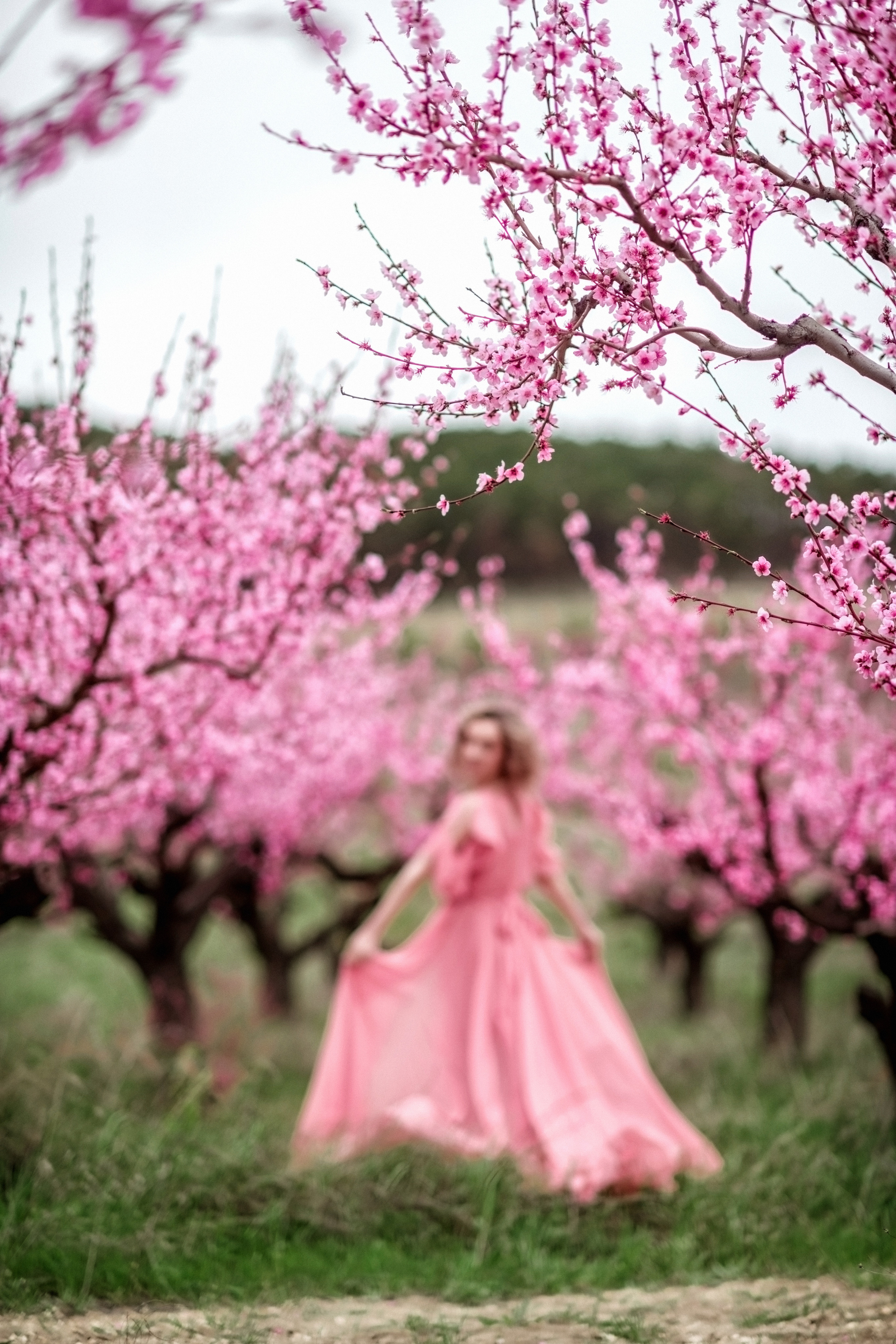 Фотосессия среди персиковых садов. Свадебный и семейный фотограф и видеограф, Крым, Москва, Санкт -Петербург