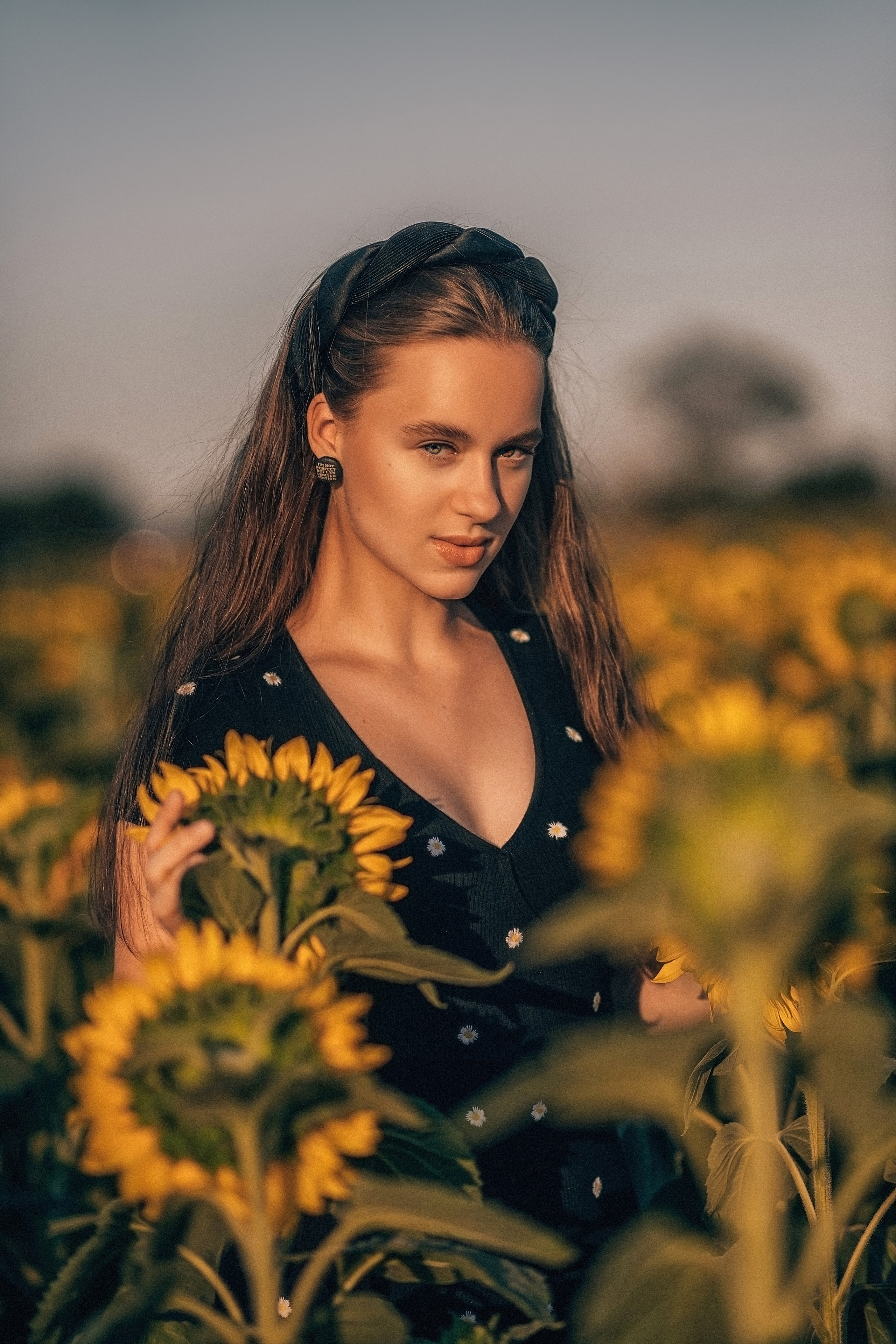 Подсолнухи. Свадебный и семейный фотограф и видеограф, Крым, Москва, Санкт -Петербург