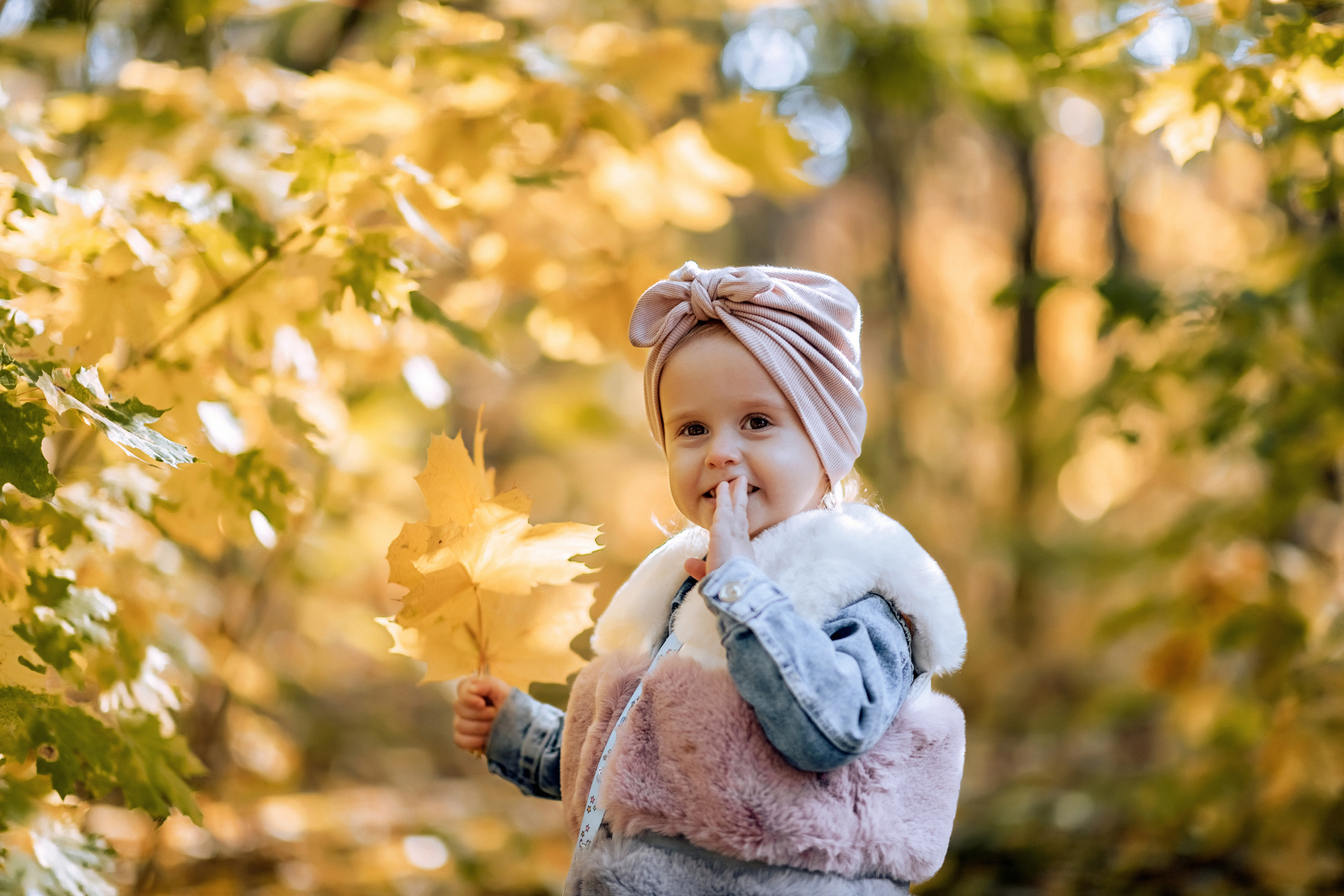 Осень. Свадебный и семейный фотограф и видеограф, Крым, Москва, Санкт -Петербург
