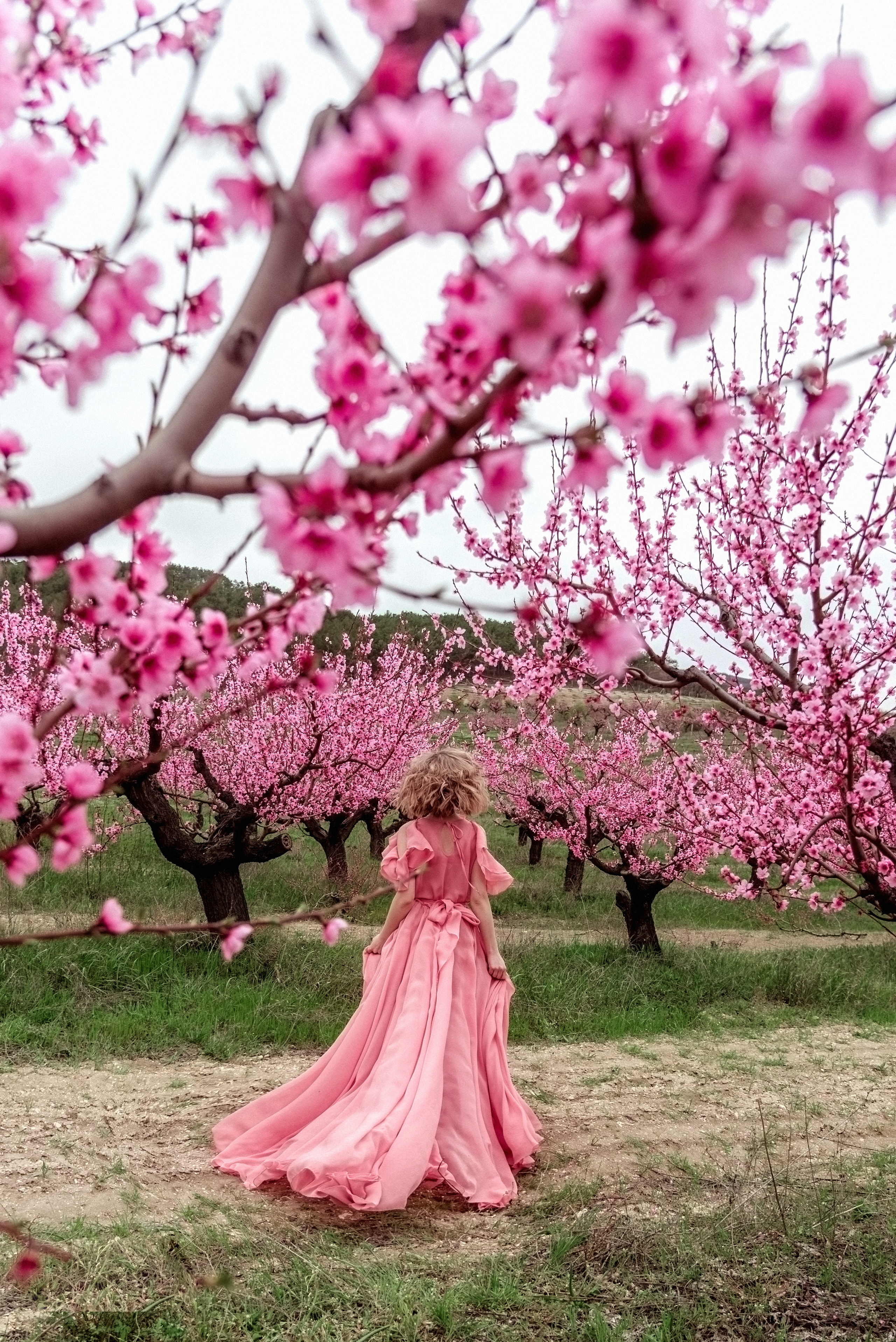 Фотосессия среди персиковых садов. Свадебный и семейный фотограф и видеограф, Крым, Москва, Санкт -Петербург