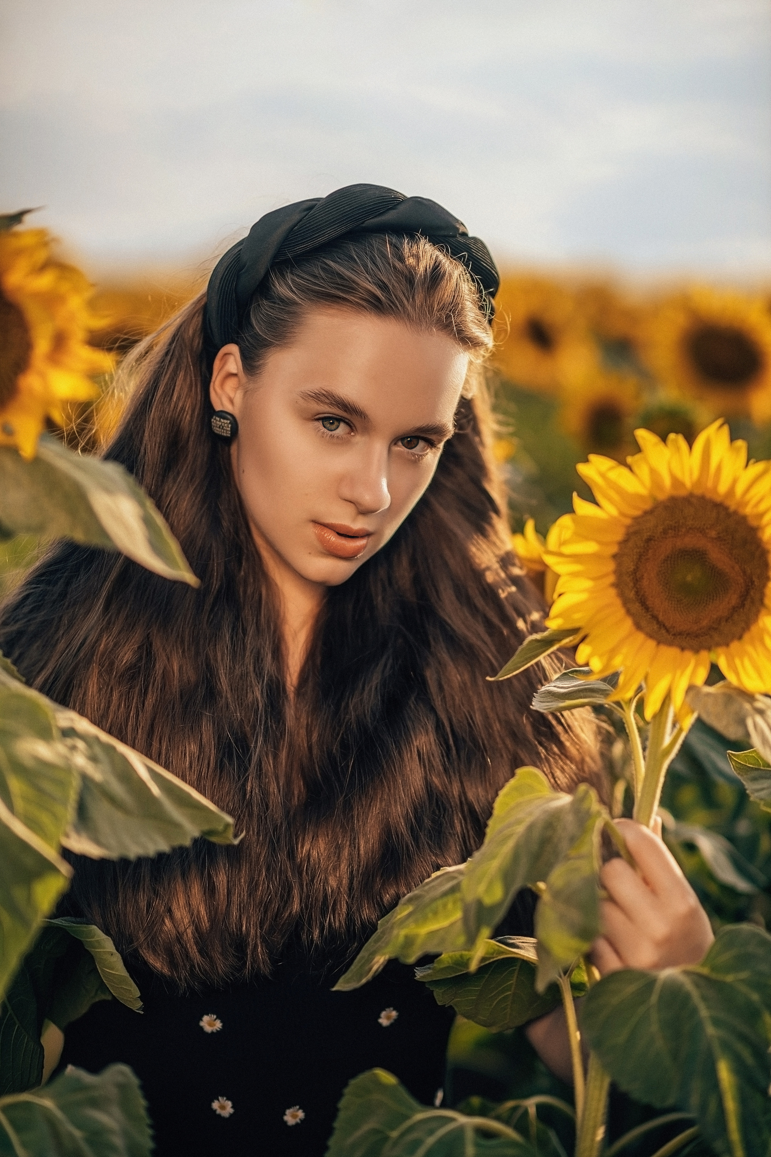 Подсолнухи. Свадебный и семейный фотограф и видеограф, Крым, Москва, Санкт -Петербург