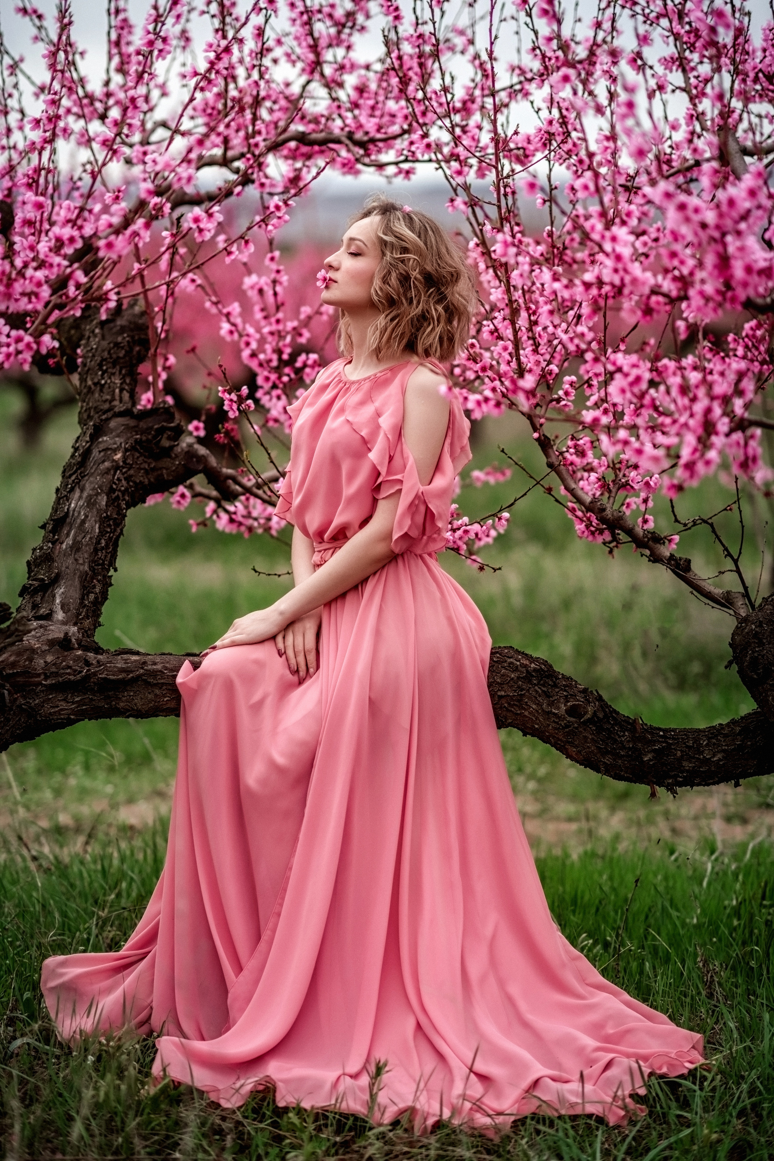 Фотосессия среди персиковых садов. Свадебный и семейный фотограф и видеограф, Крым, Москва, Санкт -Петербург