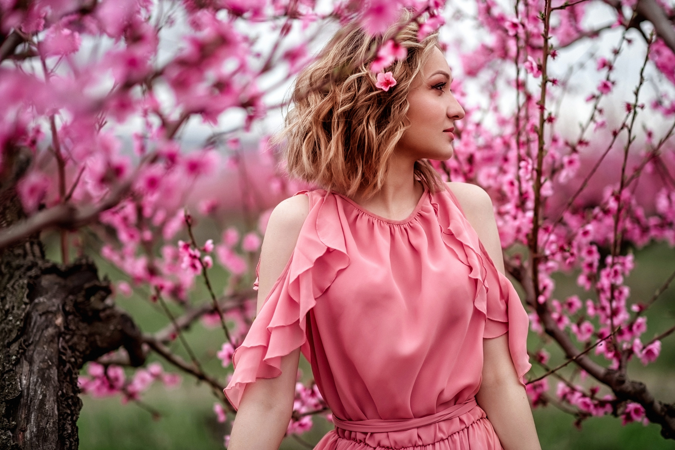 Фотосессия среди персиковых садов. Свадебный и семейный фотограф и видеограф, Крым, Москва, Санкт -Петербург