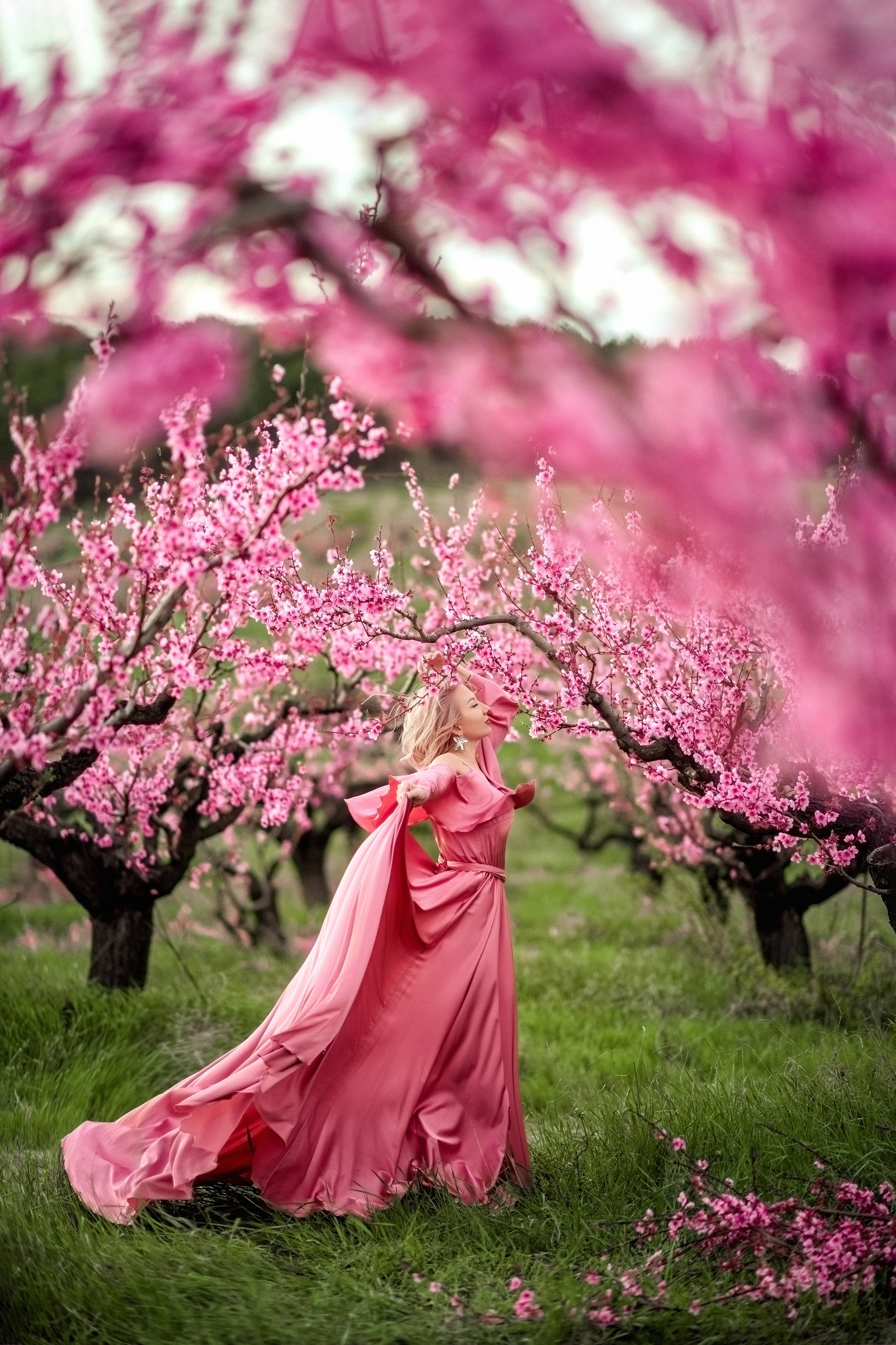 персики ,фотосессия в персиках ,фотосессия в персиквых садах ,персиковые сады крым , фотограф крым, фотограф симферополь,фотограф алена межевова ,алена межевова ,фототур по крыму ,цветущие сады ,крым ,природа крыма ,фотосессия в крыму ,свадебный фотограф крым , семейный фотограф крым 