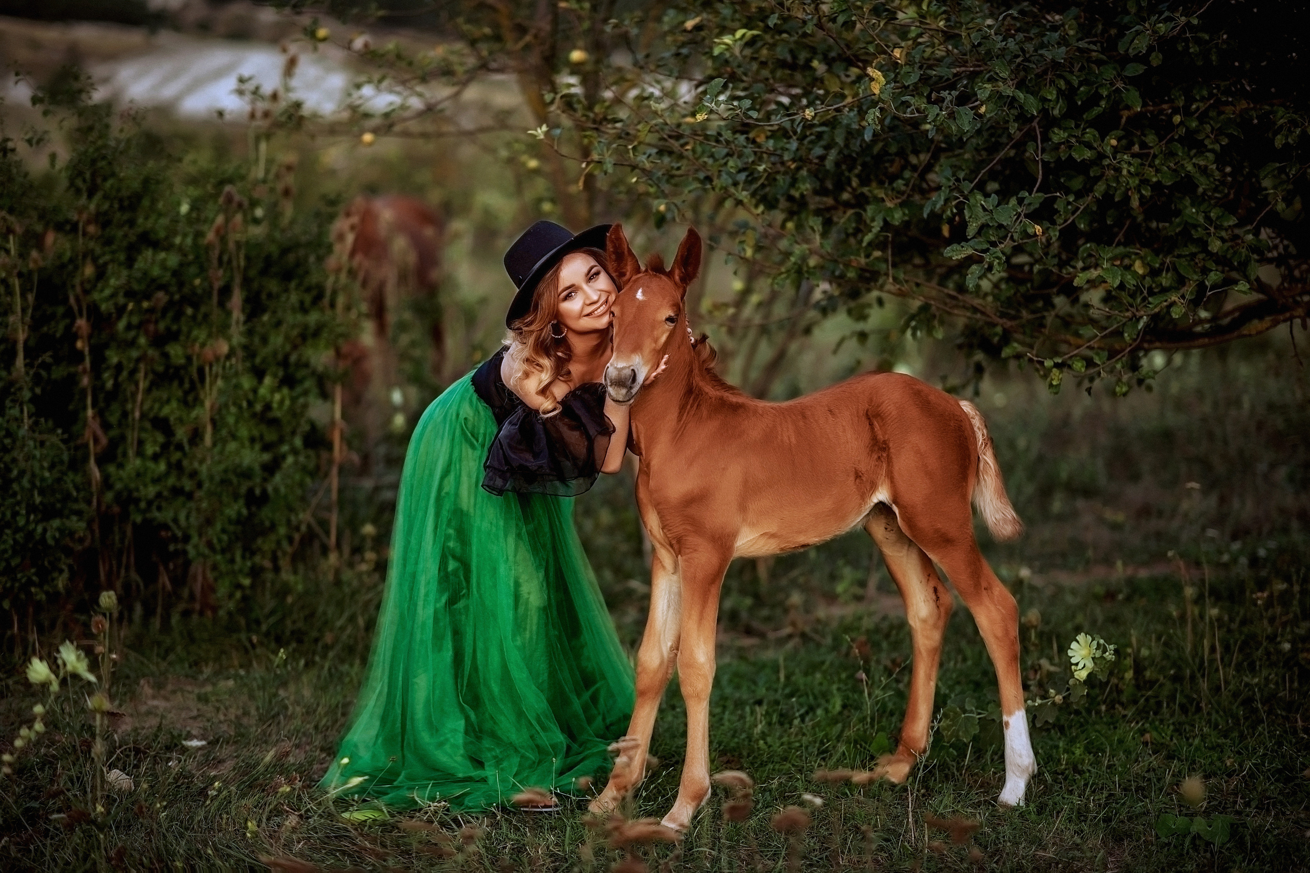 Горный Крым. Свадебный и семейный фотограф и видеограф, Крым, Москва, Санкт -Петербург