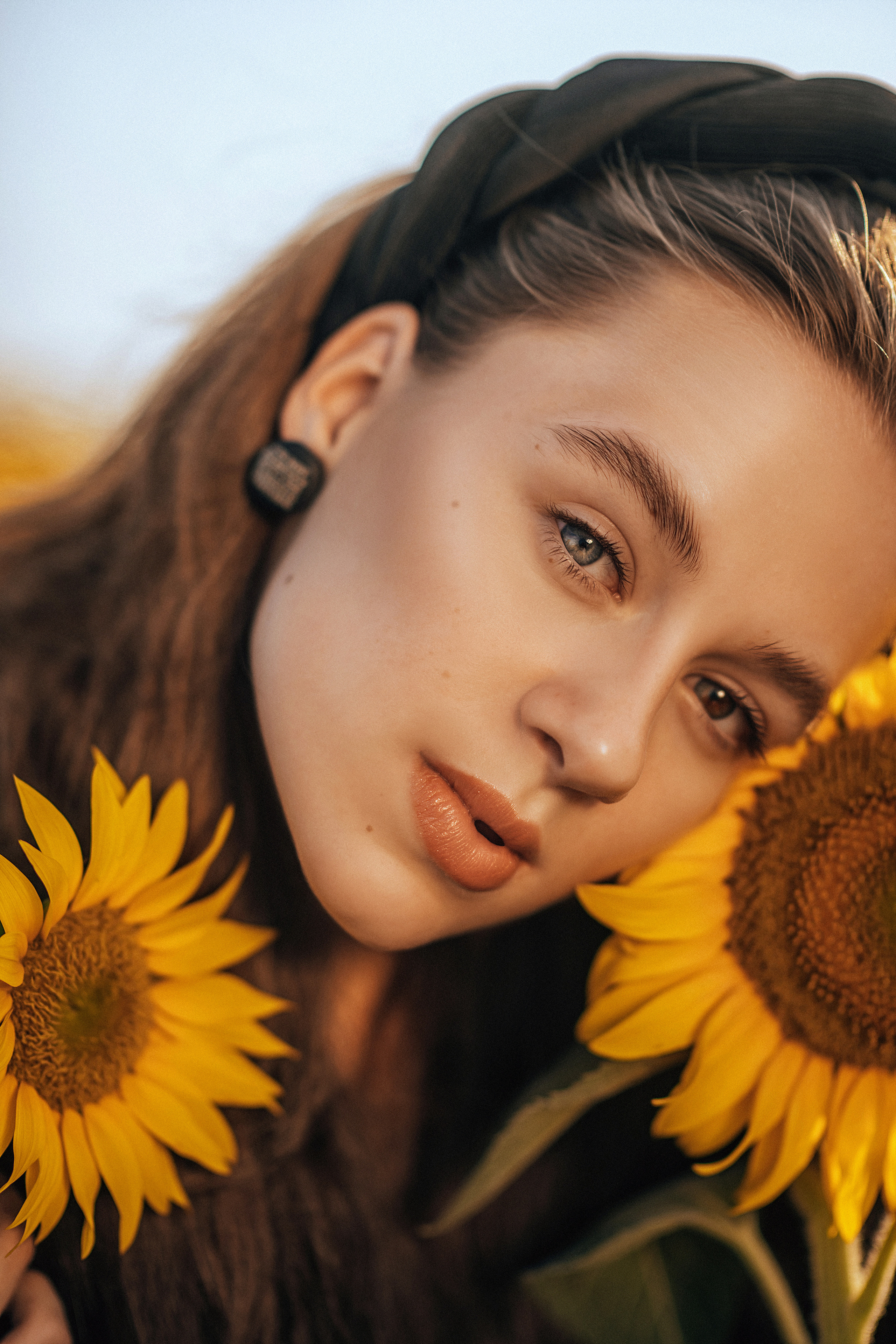 Подсолнухи. Свадебный и семейный фотограф и видеограф, Крым, Москва, Санкт -Петербург