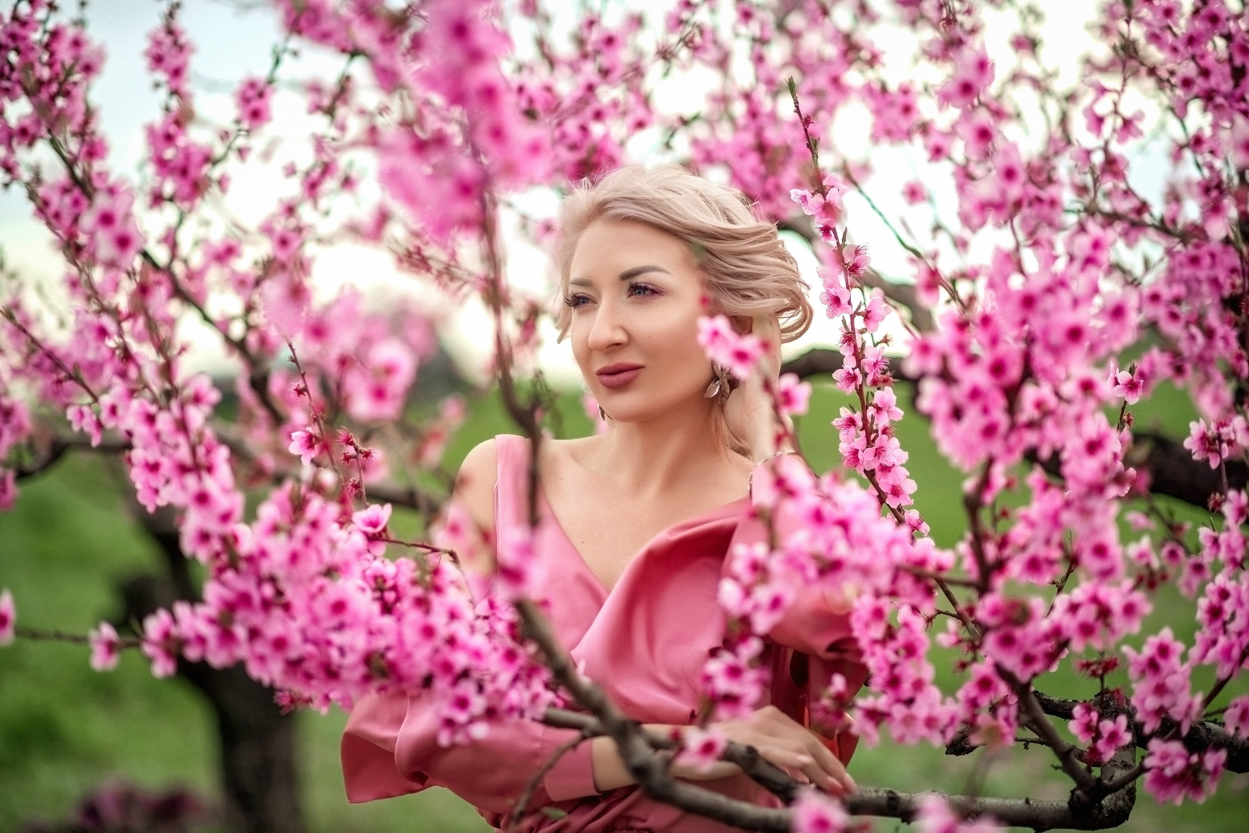 персики ,фотосессия в персиках ,фотосессия в персиквых садах ,персиковые сады крым , фотограф крым, фотограф симферополь,фотограф алена межевова ,алена межевова ,фототур по крыму ,цветущие сады ,крым ,природа крыма ,фотосессия в крыму ,свадебный фотограф крым , семейный фотограф крым 