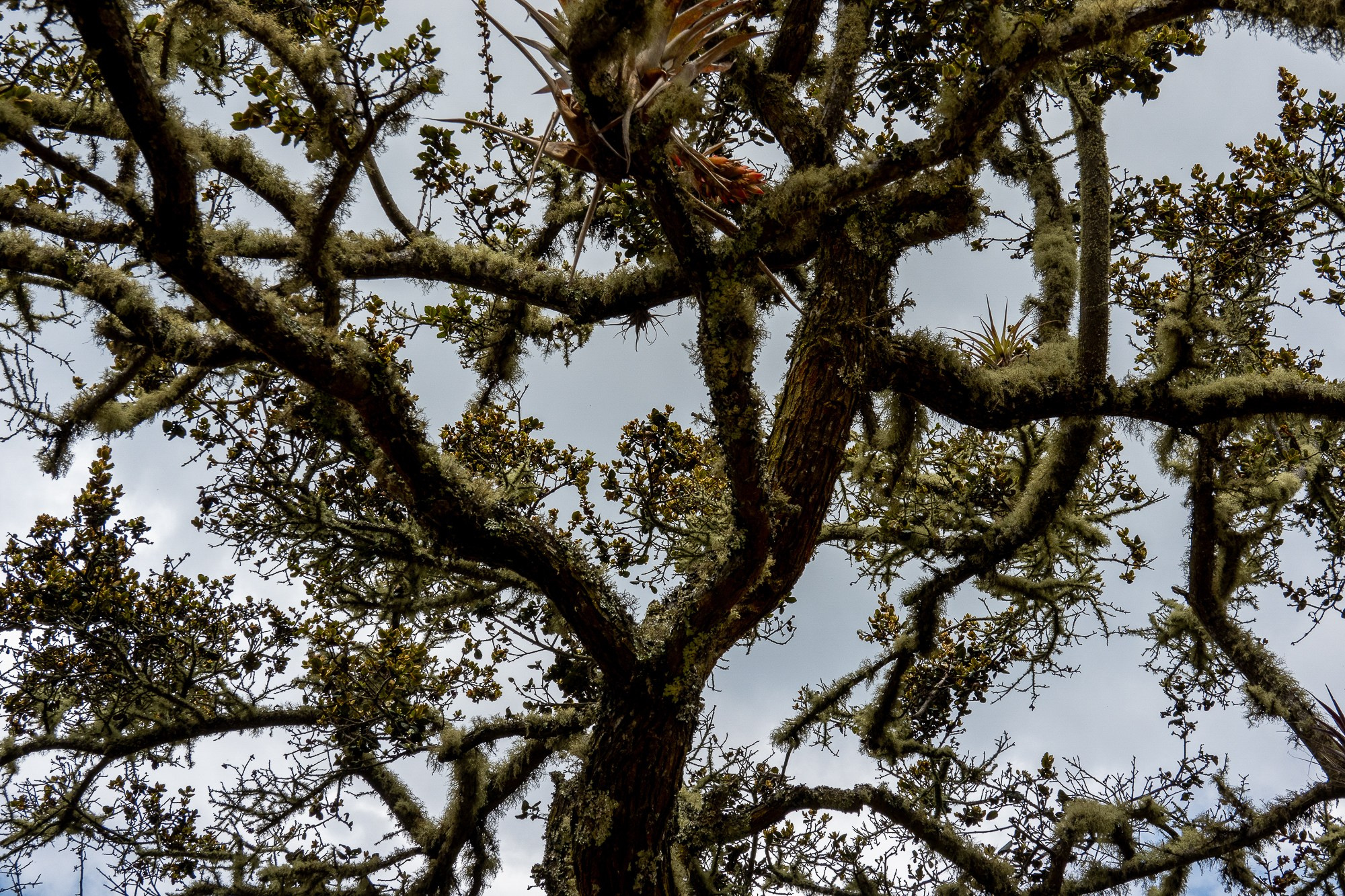 Монги (Mongui). Колумбия (Colombia). Фотограф Алексей Скоробогатько