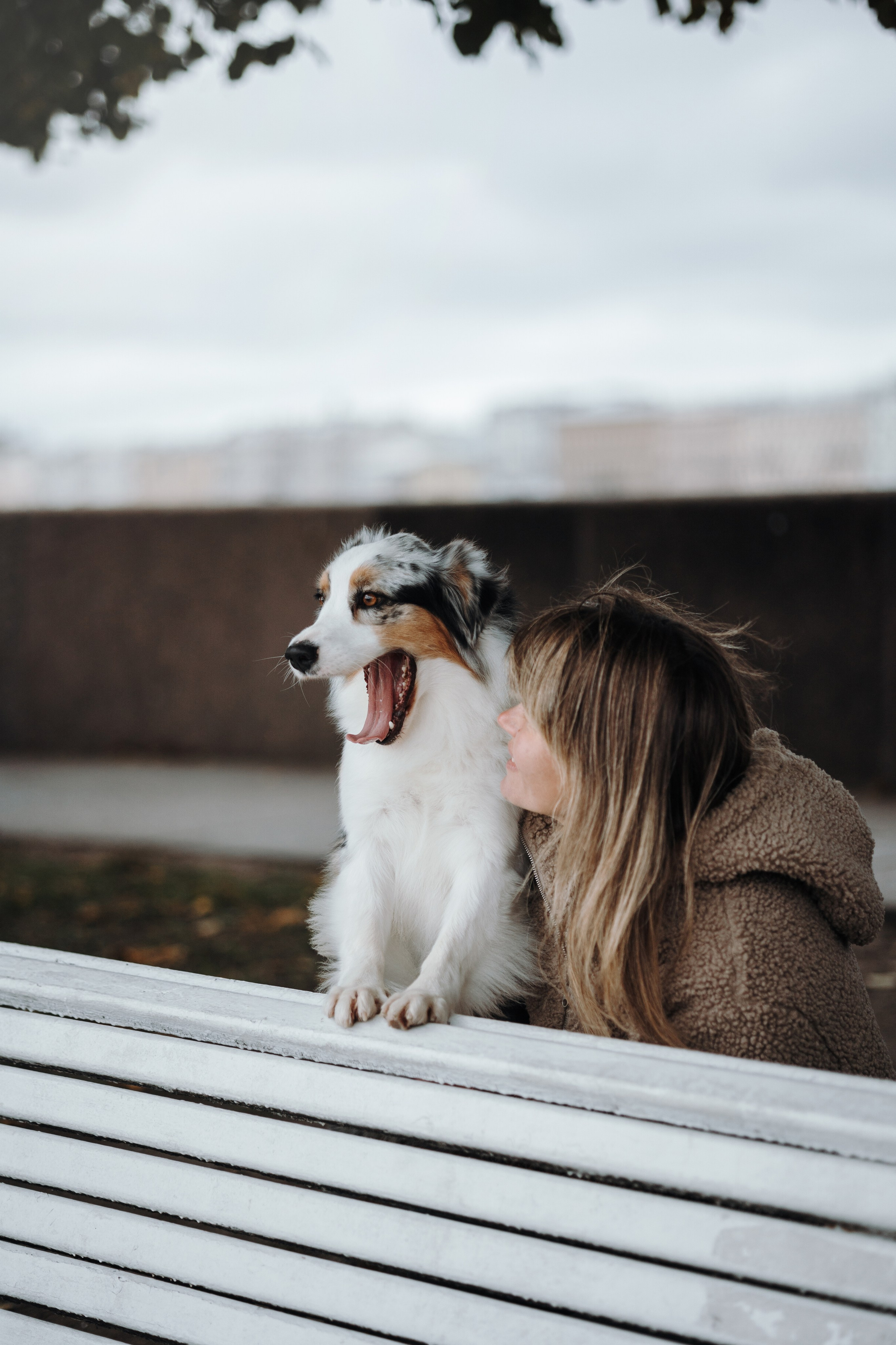 Ирина и Кайса. Фотограф — Анималист | Санкт-Петербург