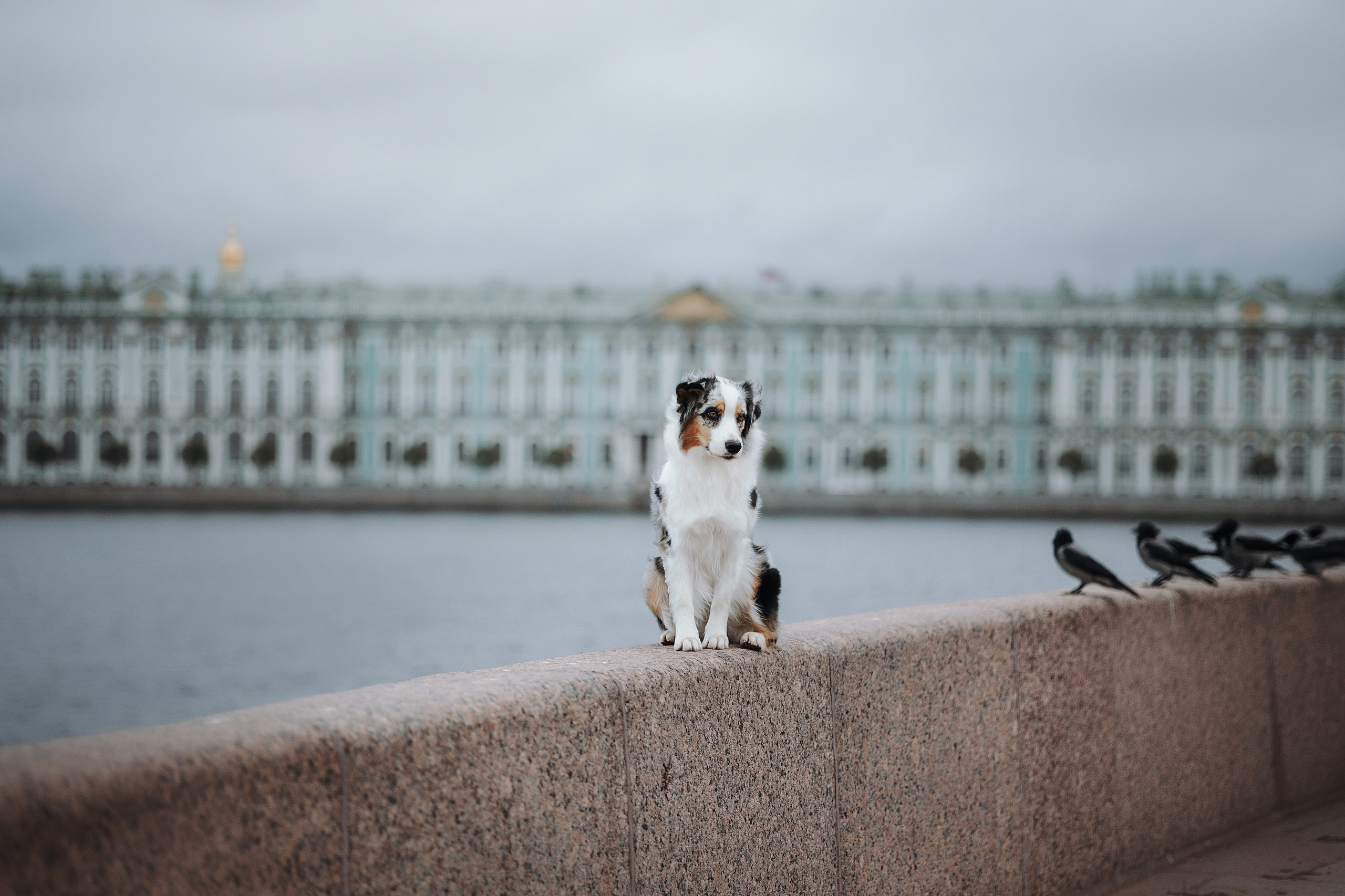 Ирина и Кайса. Фотограф — Анималист | Санкт-Петербург