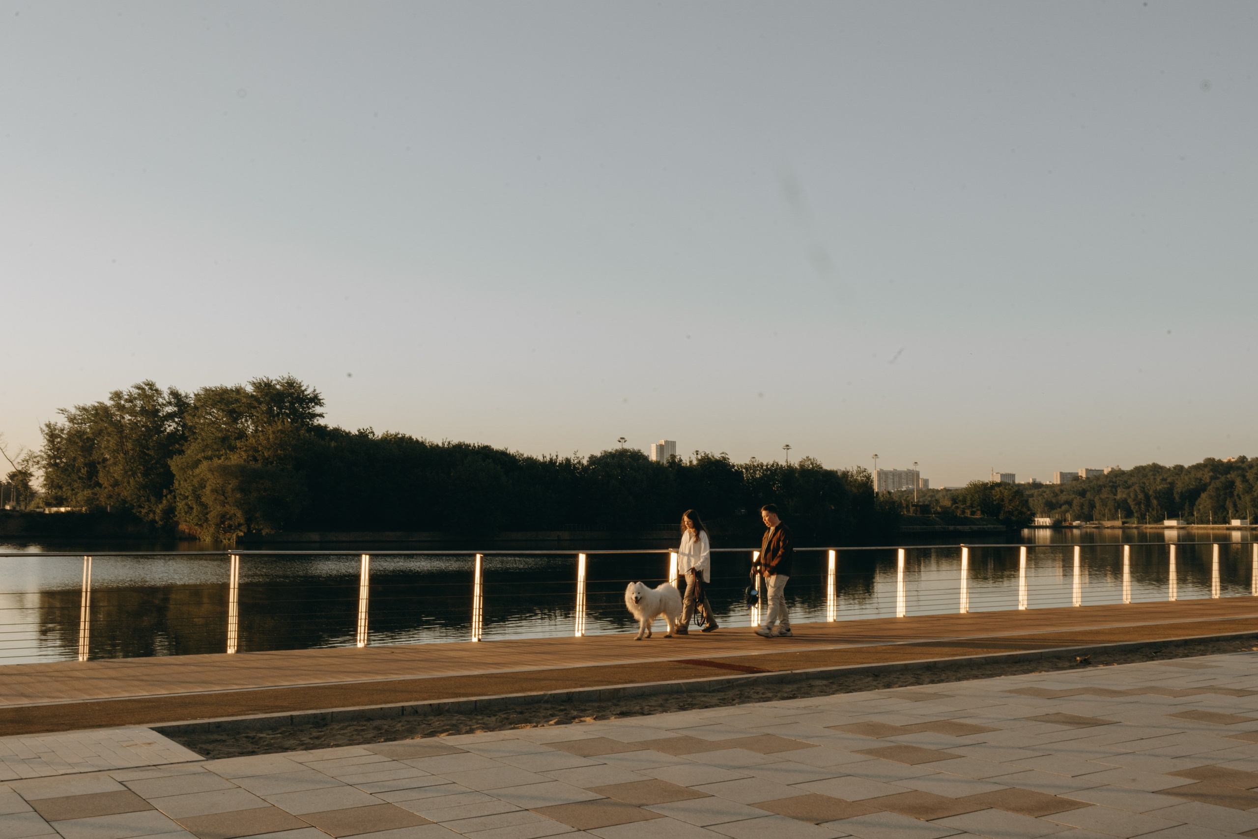 Танго и его семья. Фотограф — Анималист | Санкт-Петербург