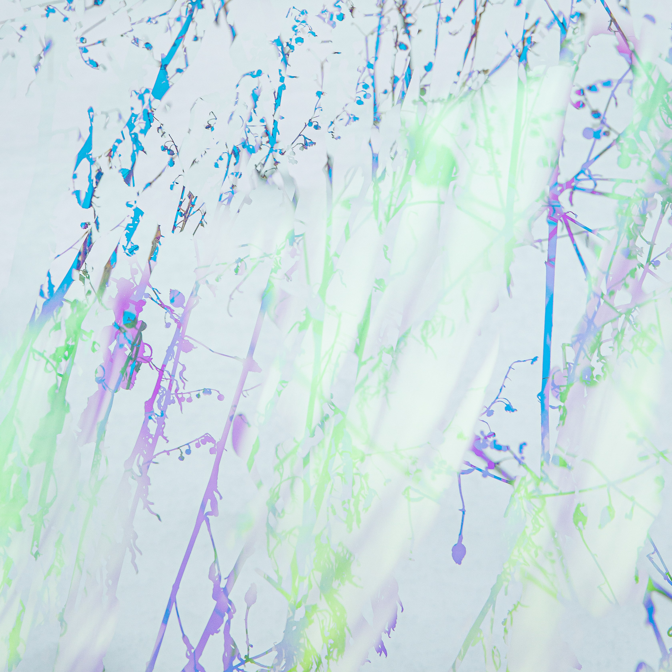 ИГГДРАСИЛЬ, 2025-2026. АННА ВЕРСО / ANNA VERSO | Визуальный художник / Visual artist