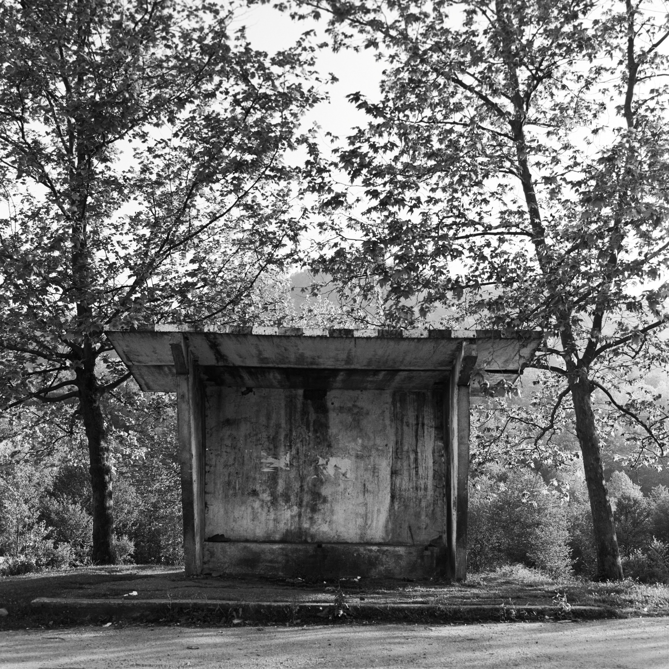 Natalia Tabakova art