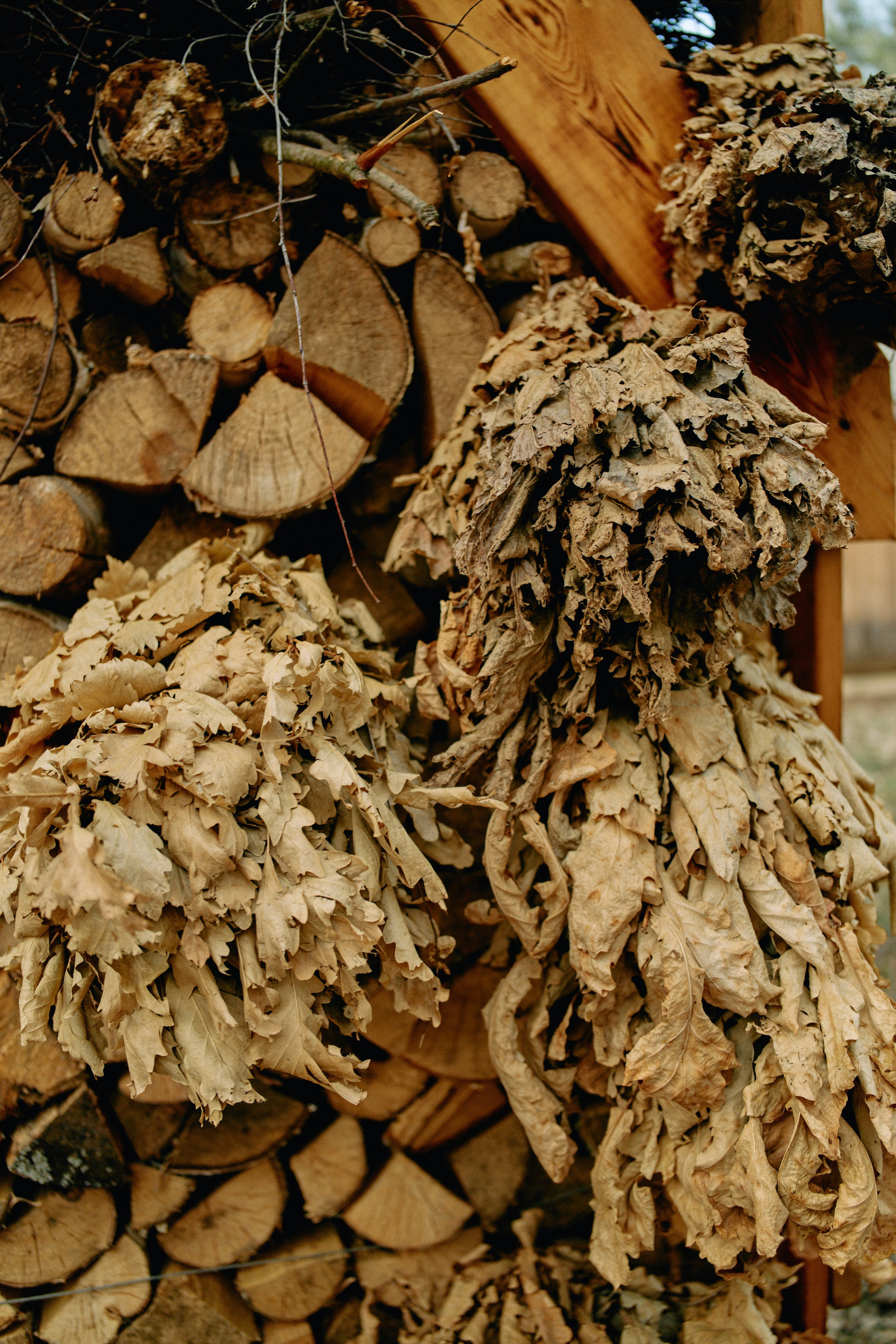 Бутик-отель Поле летом. Профессиональный Фотограф во Владимире, в Москве и в Суздале — Полина Романычева