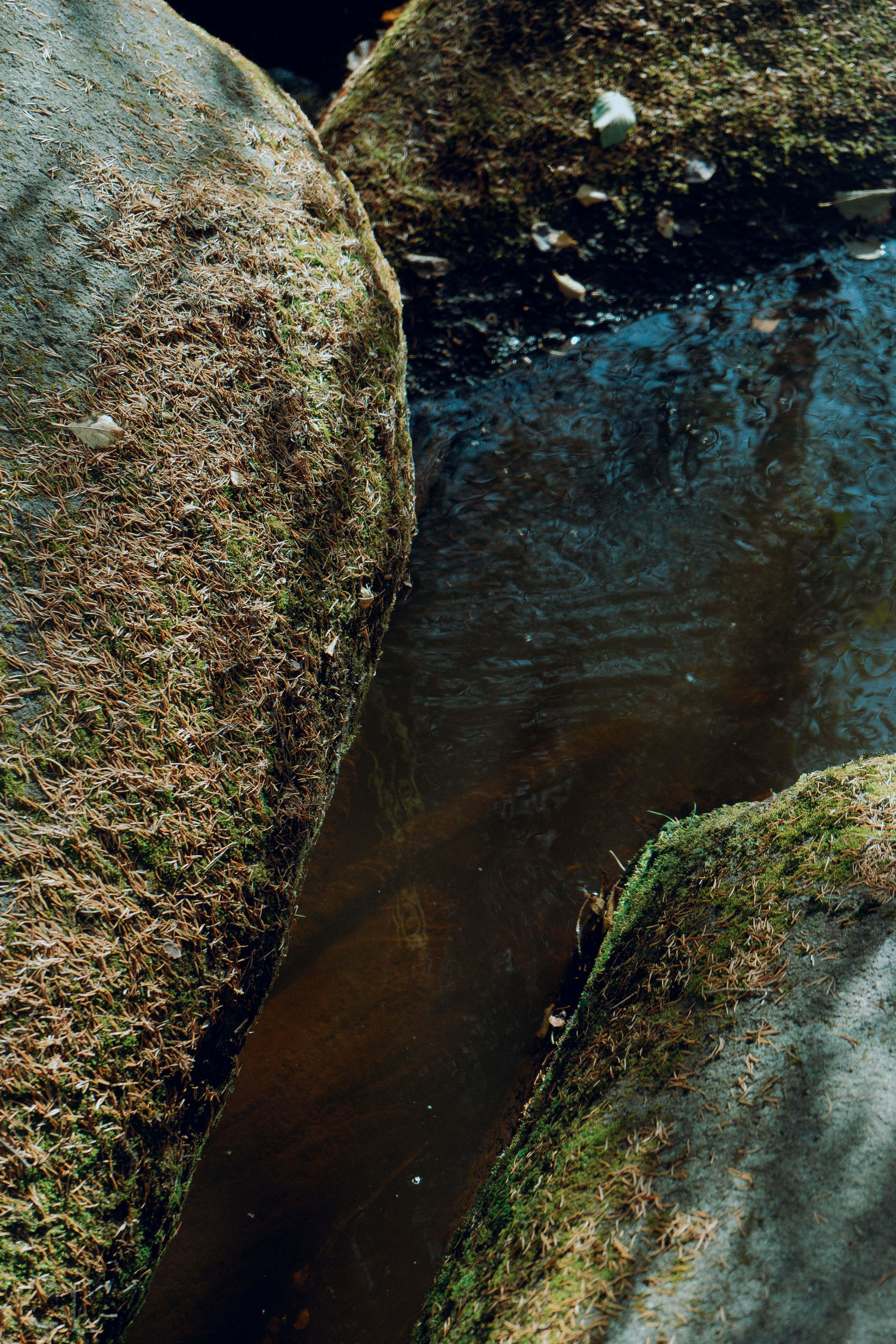 Поход на Соколиный камень. Денис Марков — фотограф в Екатеринбурге