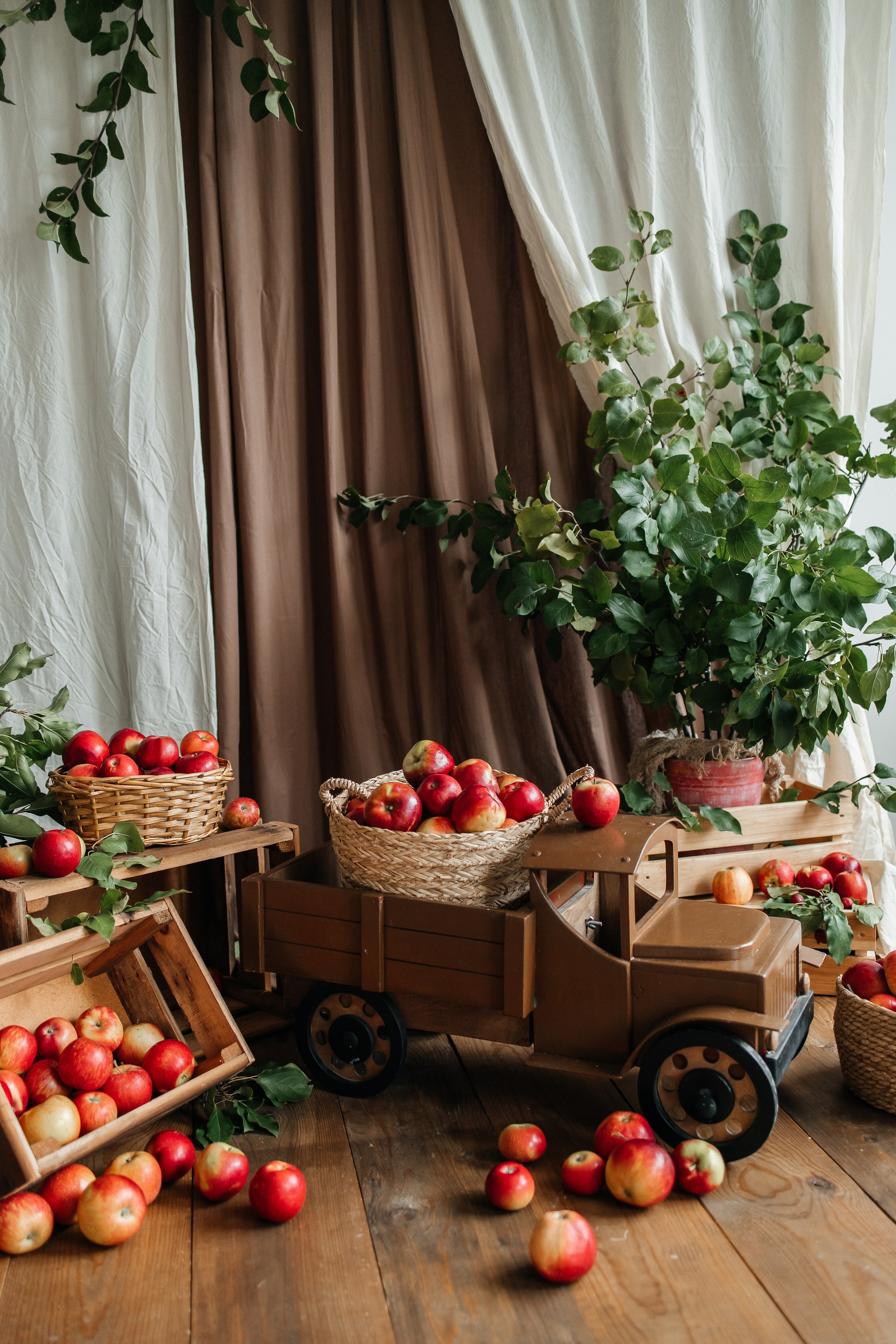 Осенний с кроликом🐇. First-foto.ru