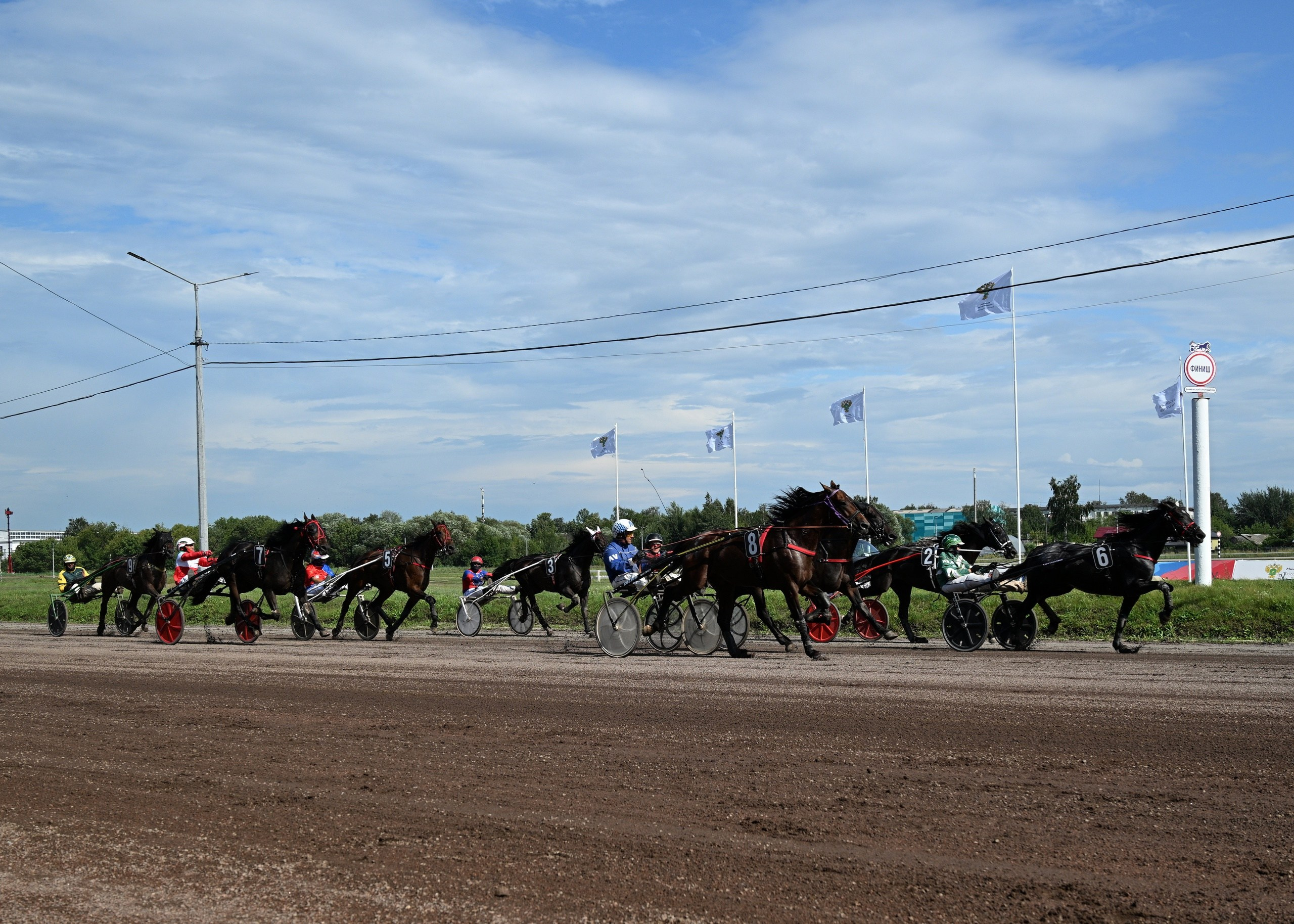 Скачки. Профессиональный фотограф ДМИТРИЙ ЕГОРОВ