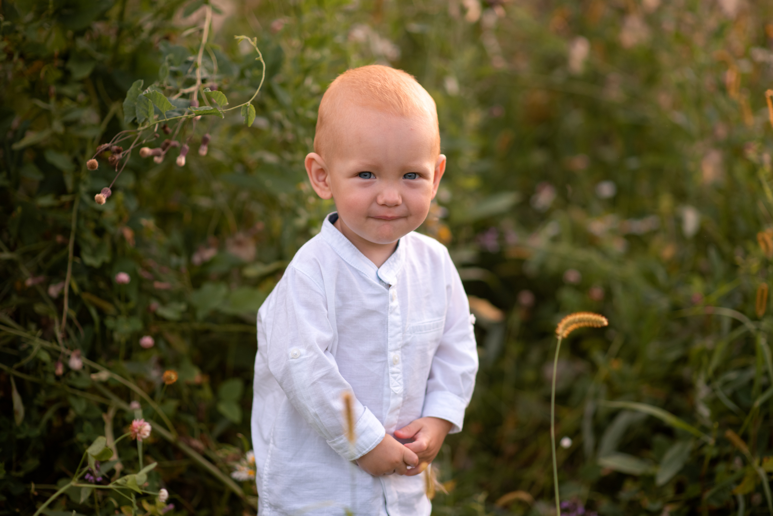 Семейная фотосессия в поле летом в Туле. Семейный и детский фотограф в Туле Светлана Воронкова