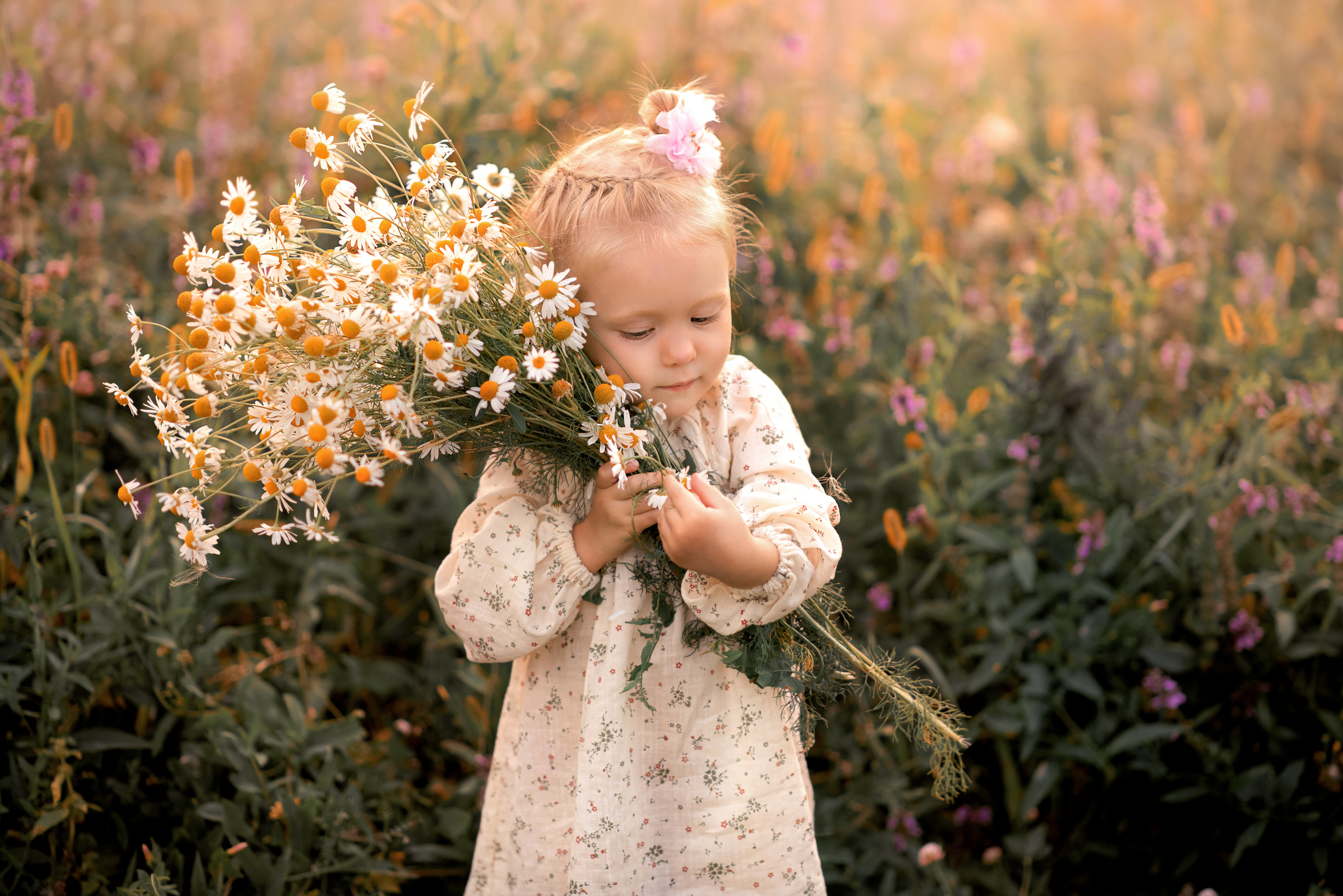 Семейная фотосессия в поле летом в Туле. Семейный и детский фотограф в Туле Светлана Воронкова