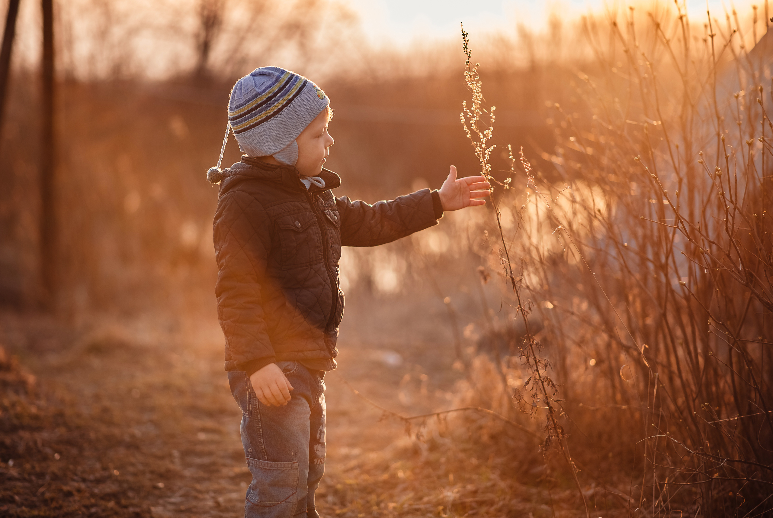 Главная. Семейный и детский фотограф в Туле Светлана Воронкова