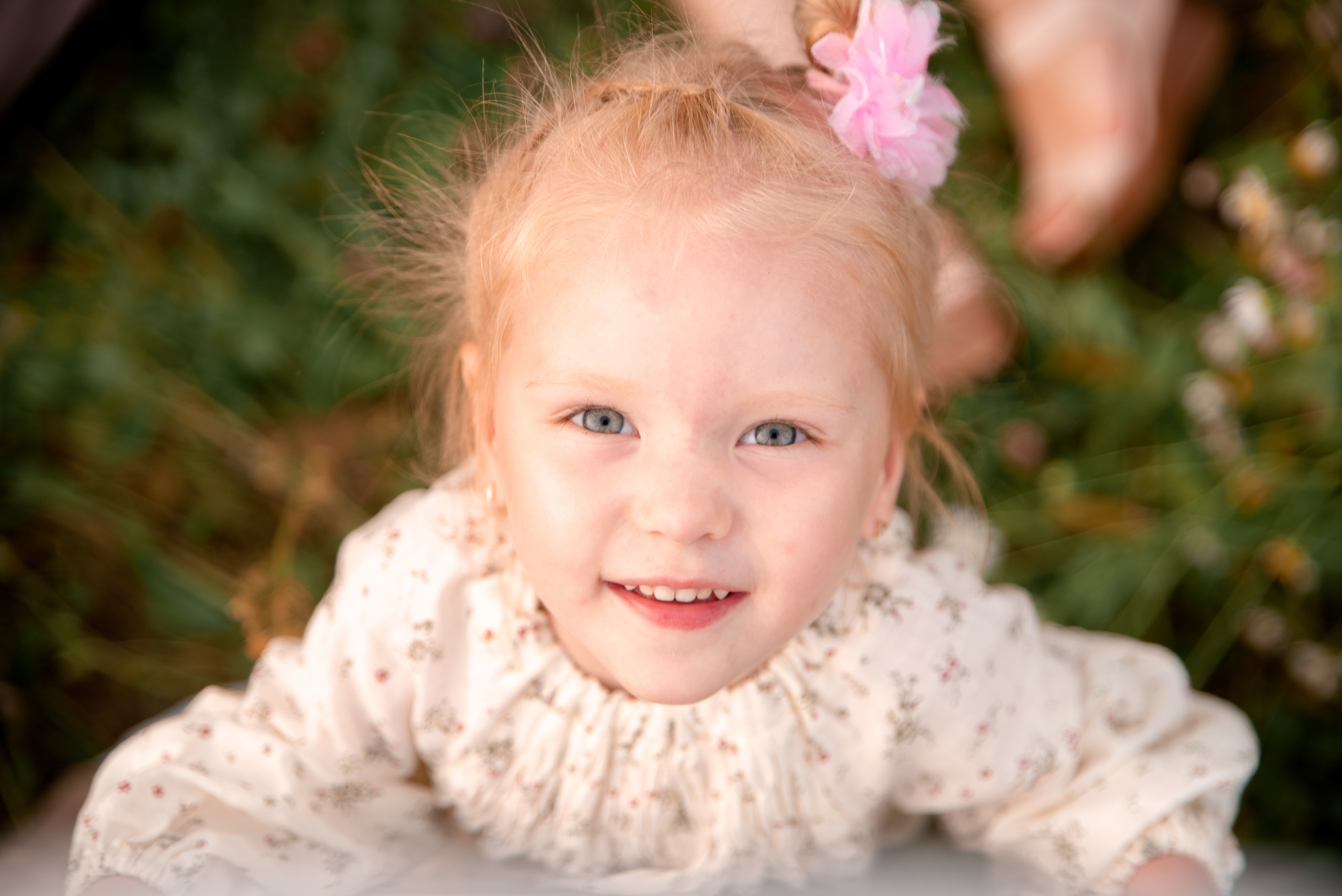 Семейная фотосессия в поле летом в Туле. Семейный и детский фотограф в Туле Светлана Воронкова