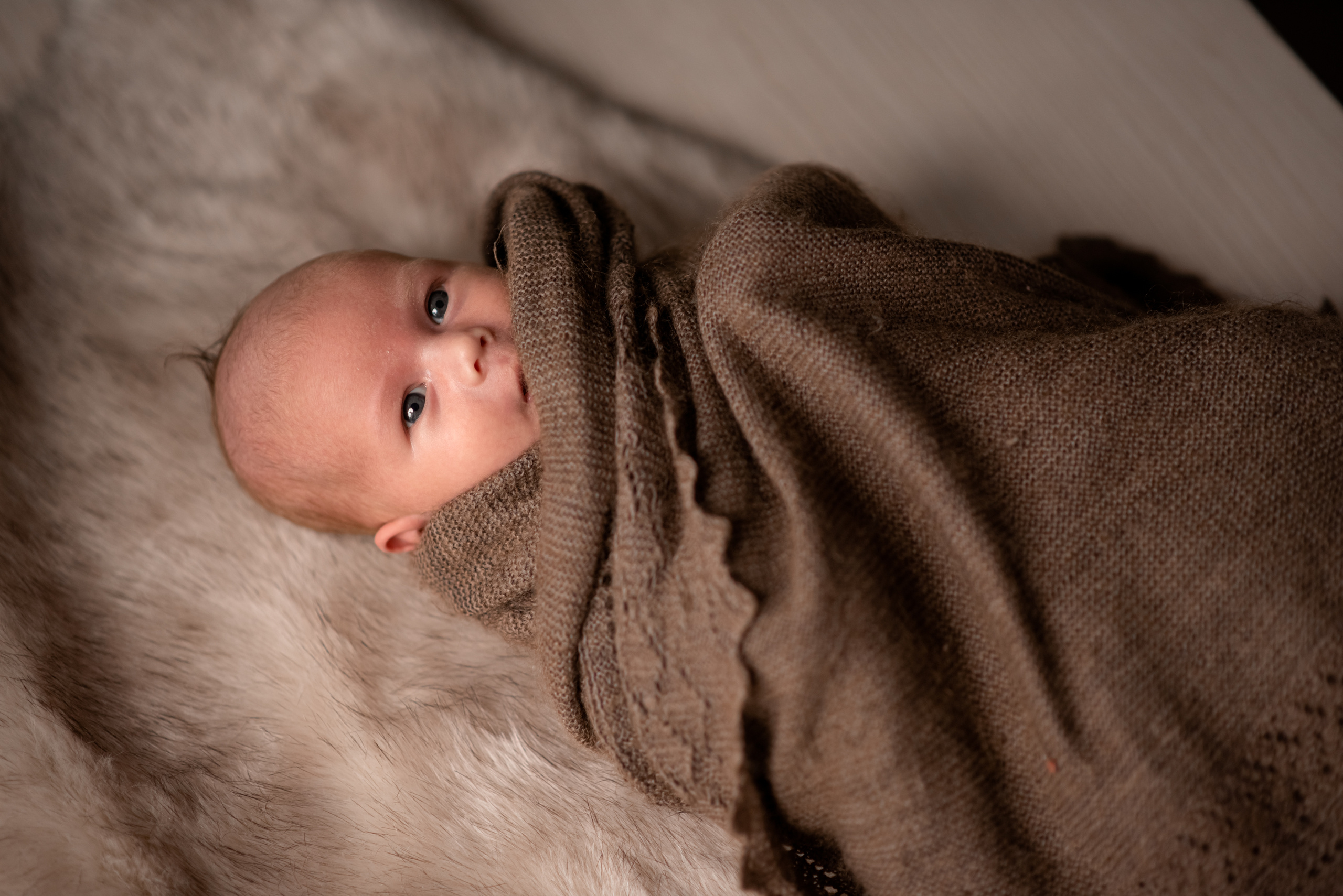 Домашняя фотосессия новорожденного ньюборн в Туле. Семейный и детский фотограф в Туле Светлана Воронкова