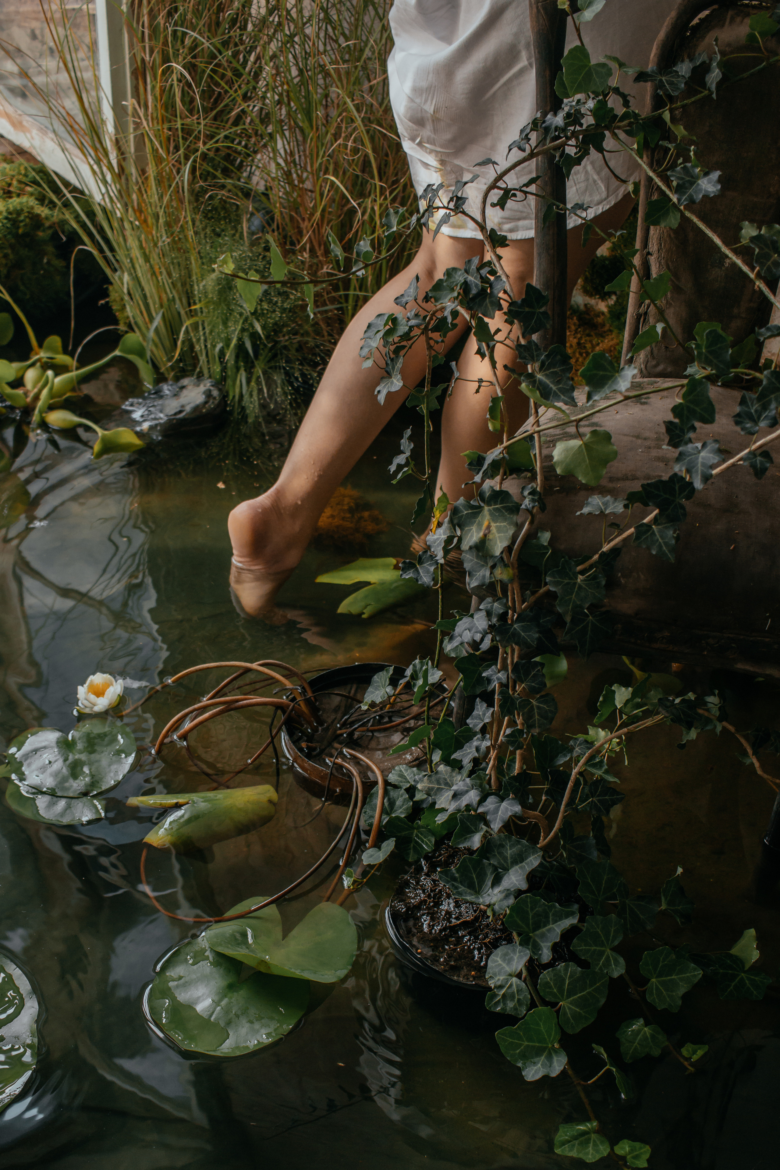 Виктория. Главная