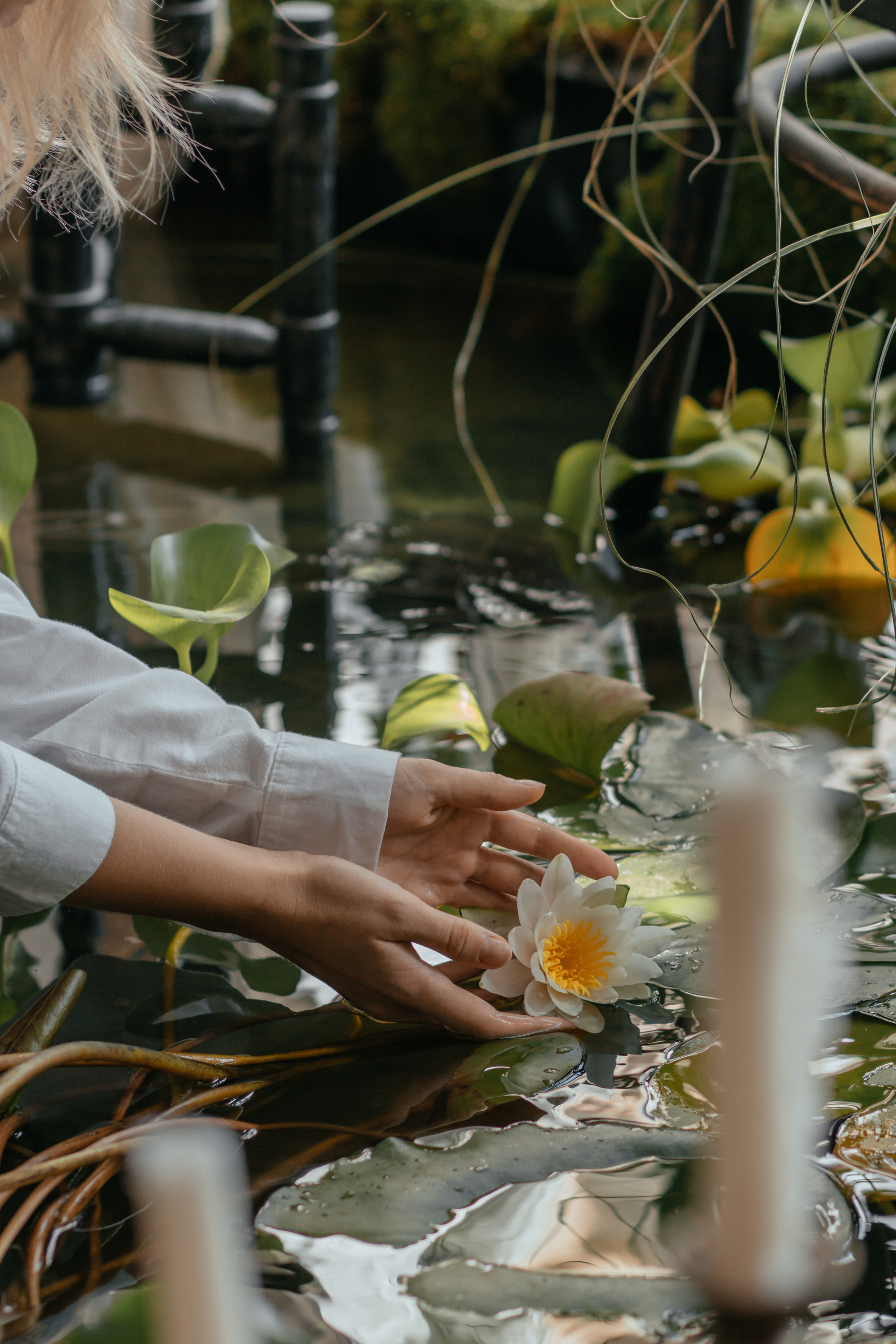 Виктория. Главная