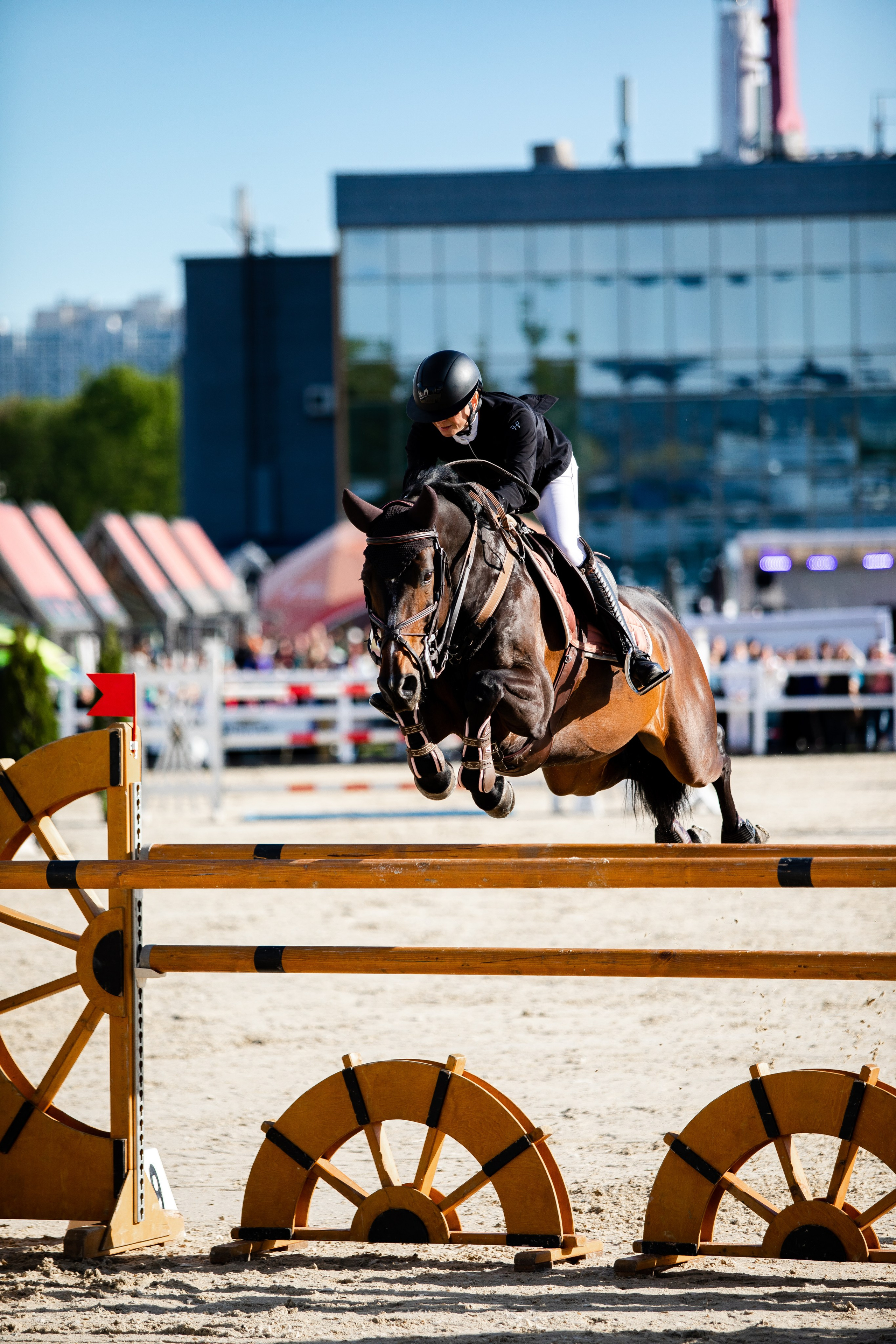 Турниры. Veronika Makeeva horse photo