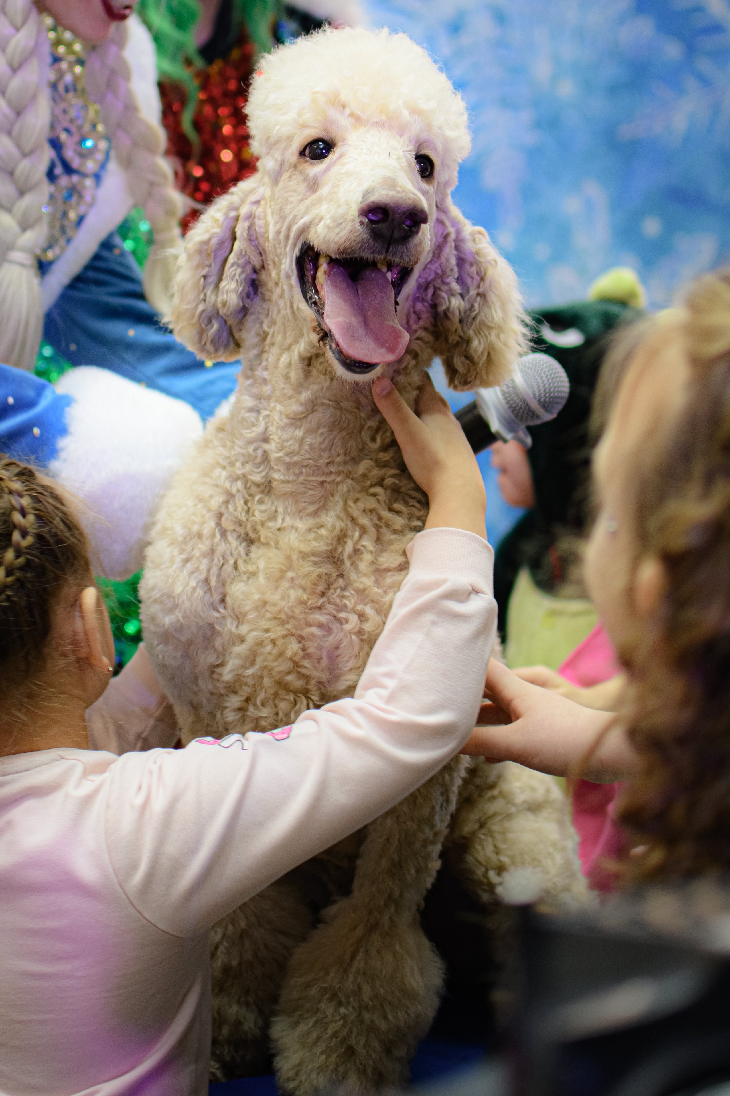 HAPPY NEW YEAR. Photokarish