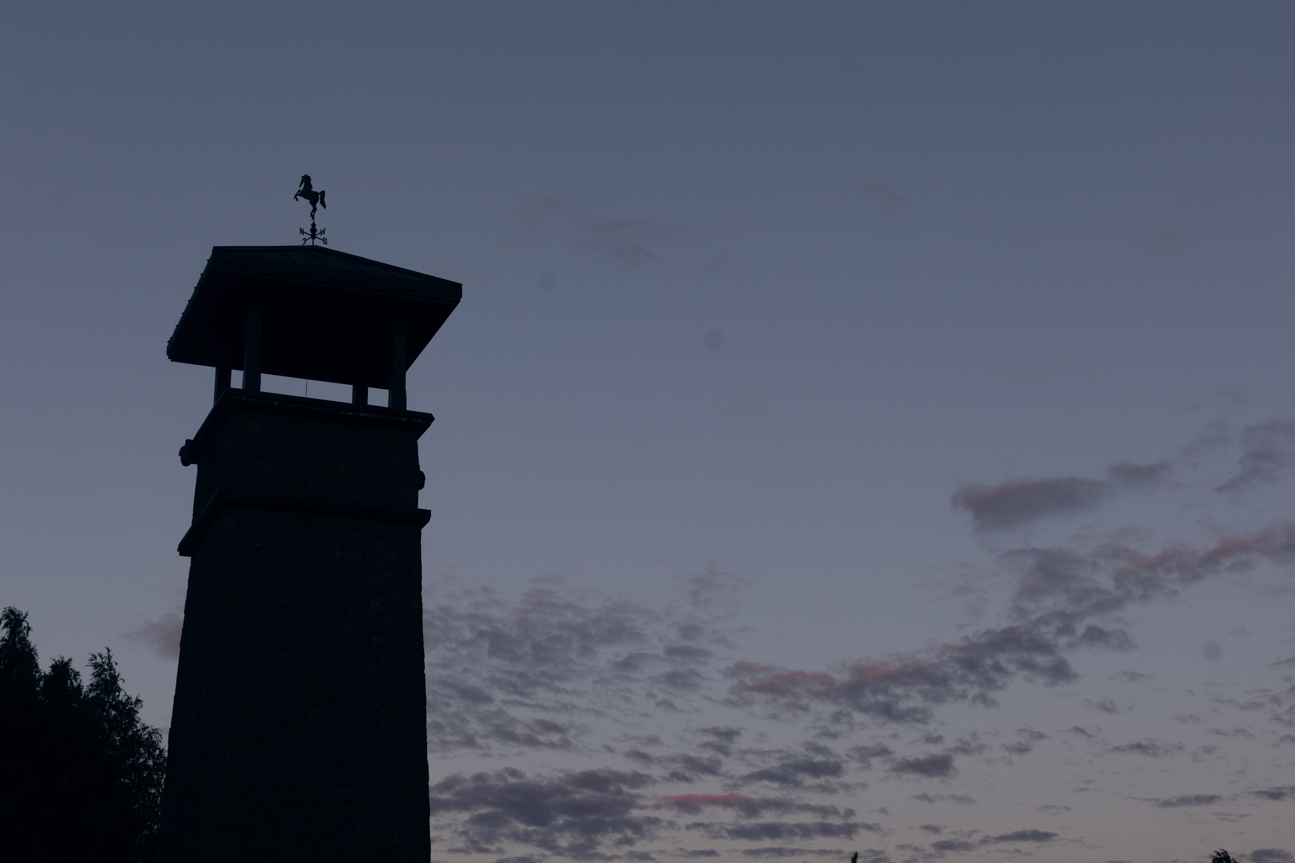 Сергей и Татьяна: цветочная летняя свадьба для близких. @dariazphoto свадебный фотограф