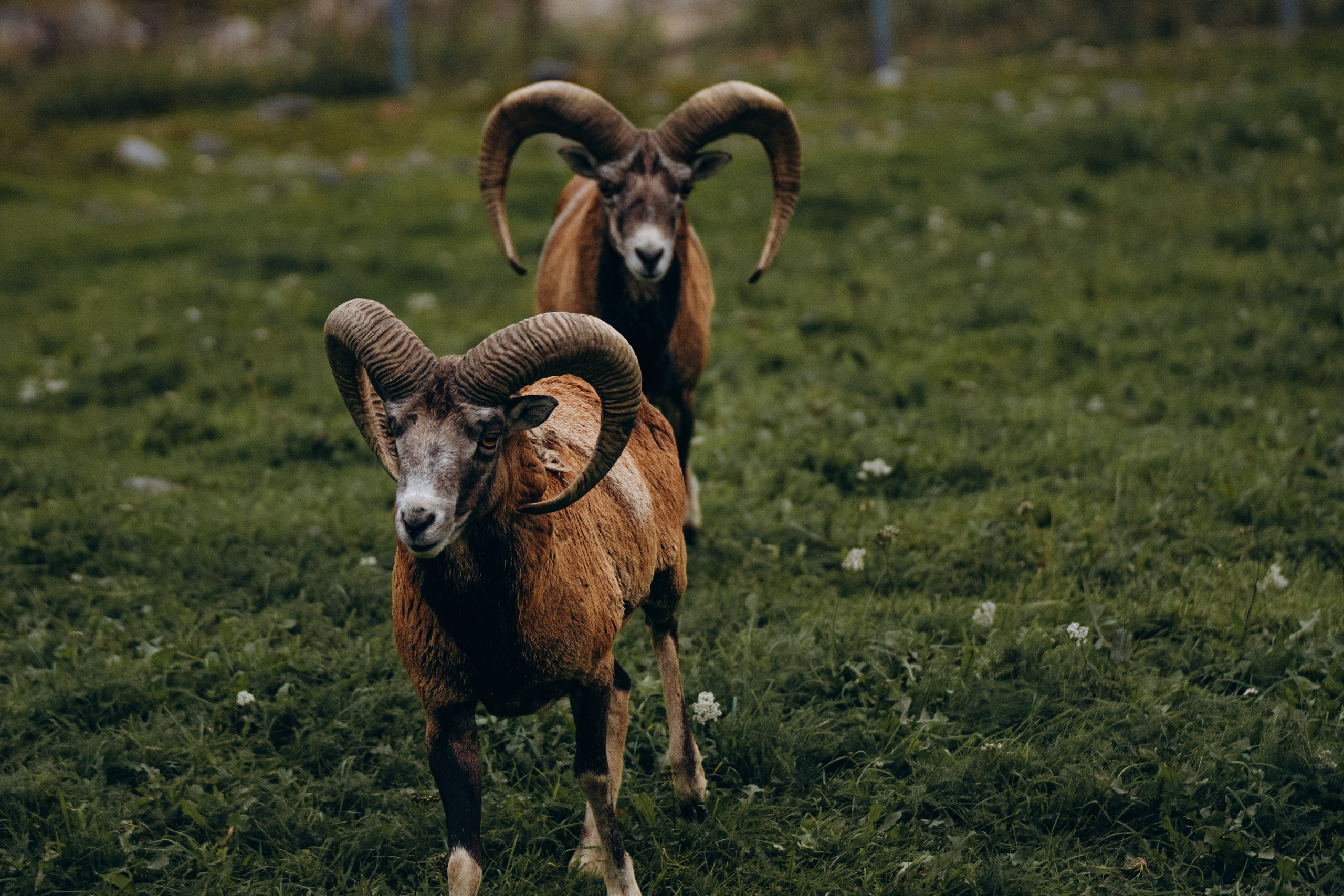 СЕВЕР. Event фотограф Степанова Александра