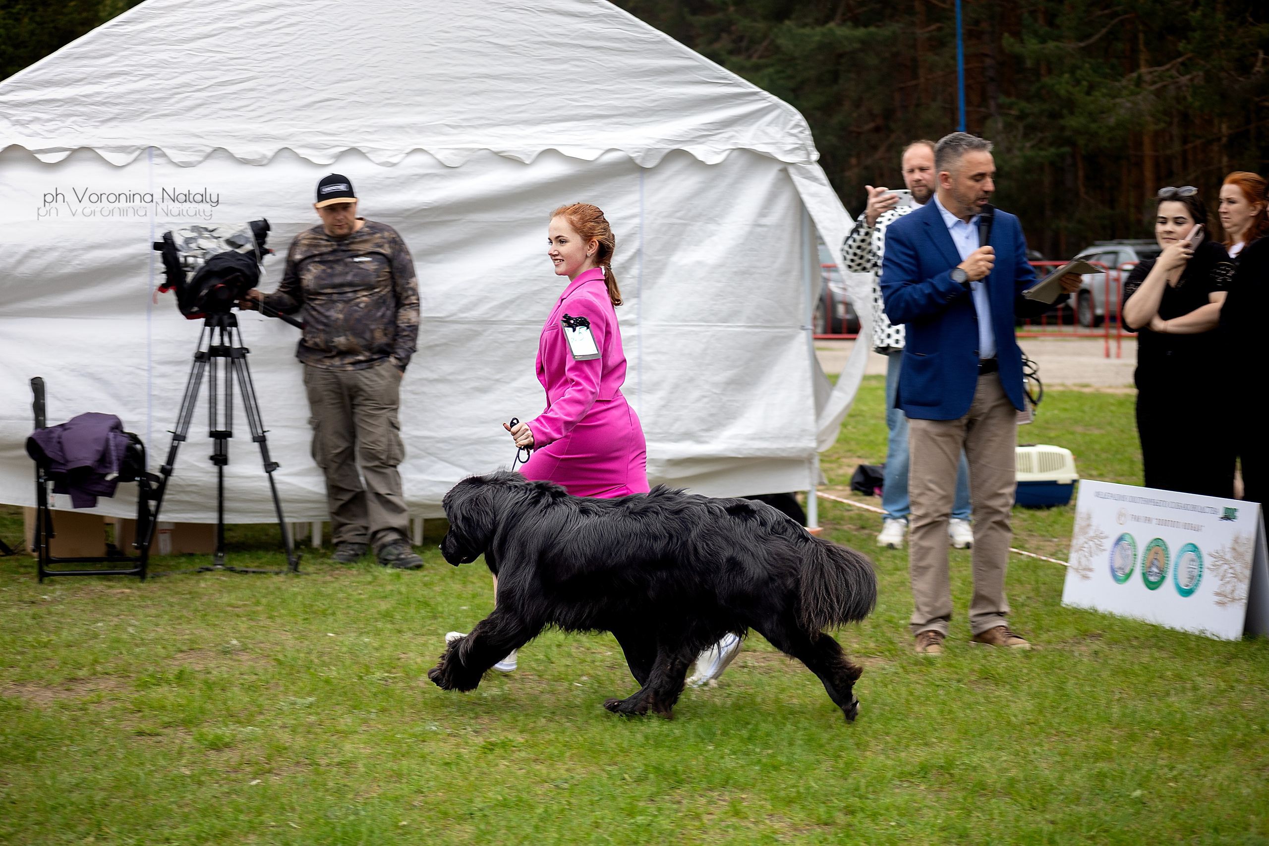 Анимализм г. Владимир. Воронина Наталия — индивидуальный и свадебный фотограф в Рязани