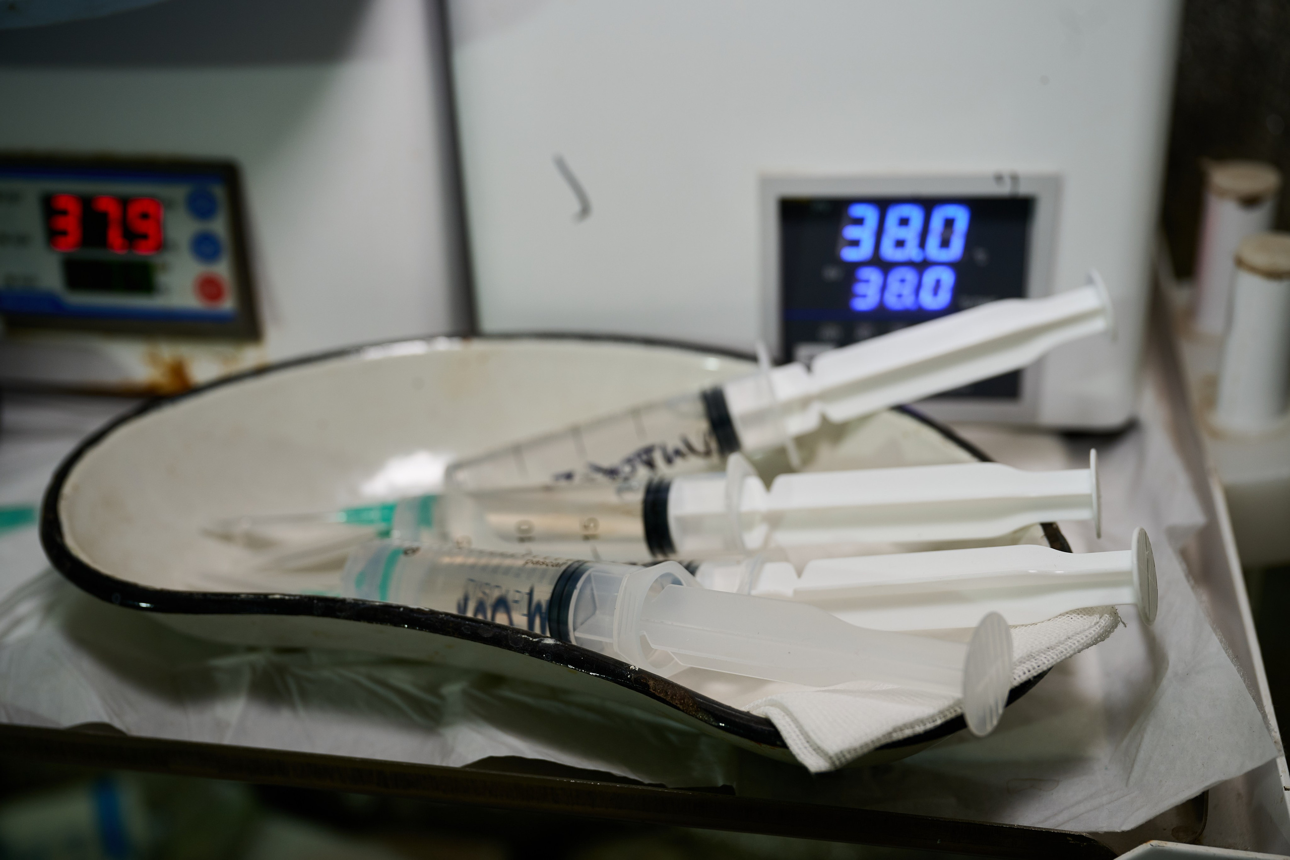 Фото для презентации фотопроекта «Территории». Фотопроект «Территории»