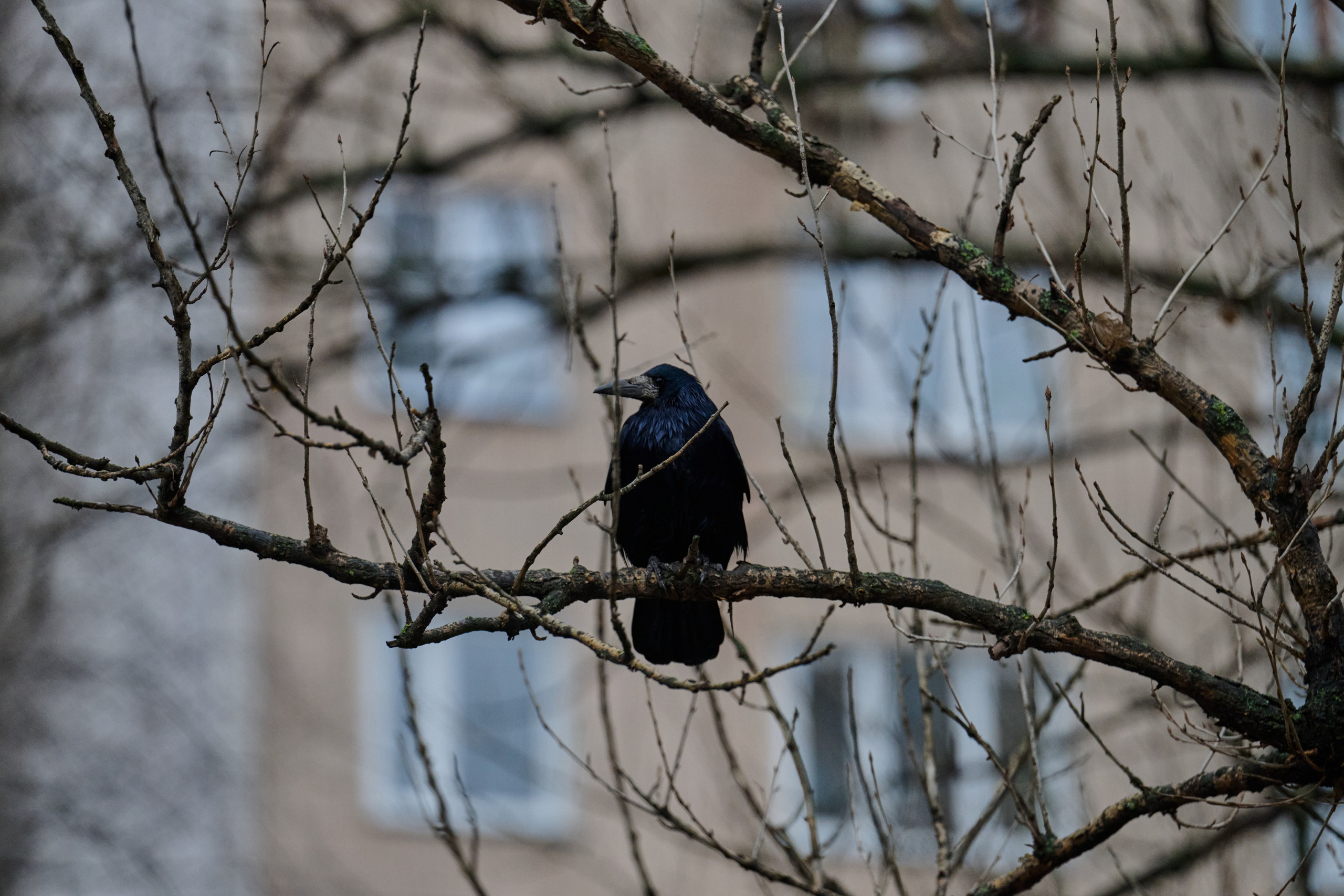 Донецк. Январь 2026. Фотопроект «Территории»