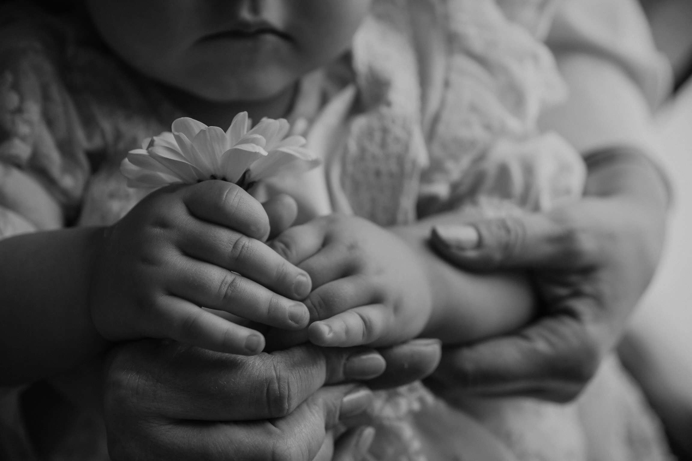 Домашний life-style. Фотограф в Серпухове и Тарусе Ксения Царёва