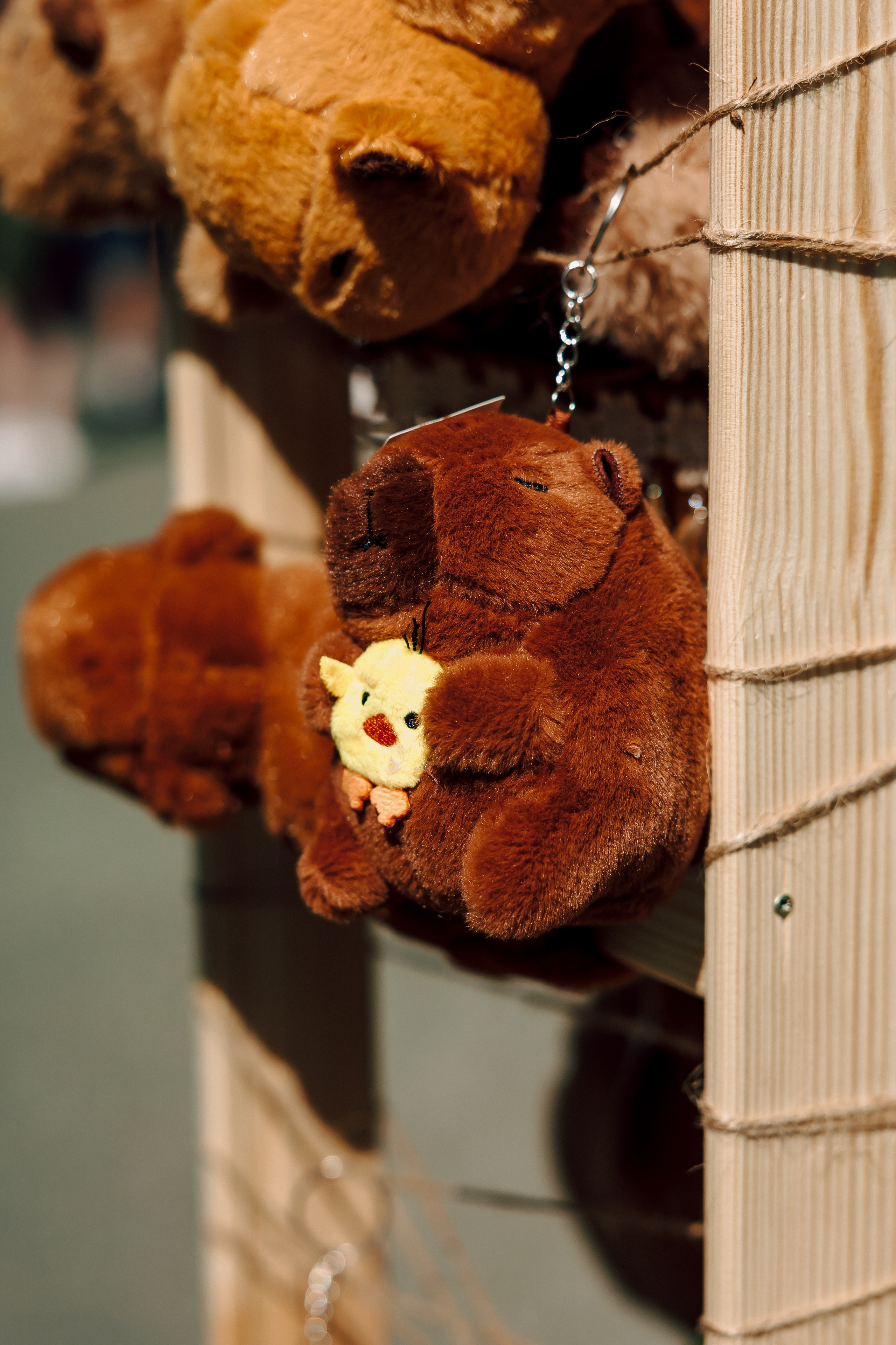 E1 Sup Fest 2024. Лёшка Варзегов — фотограф