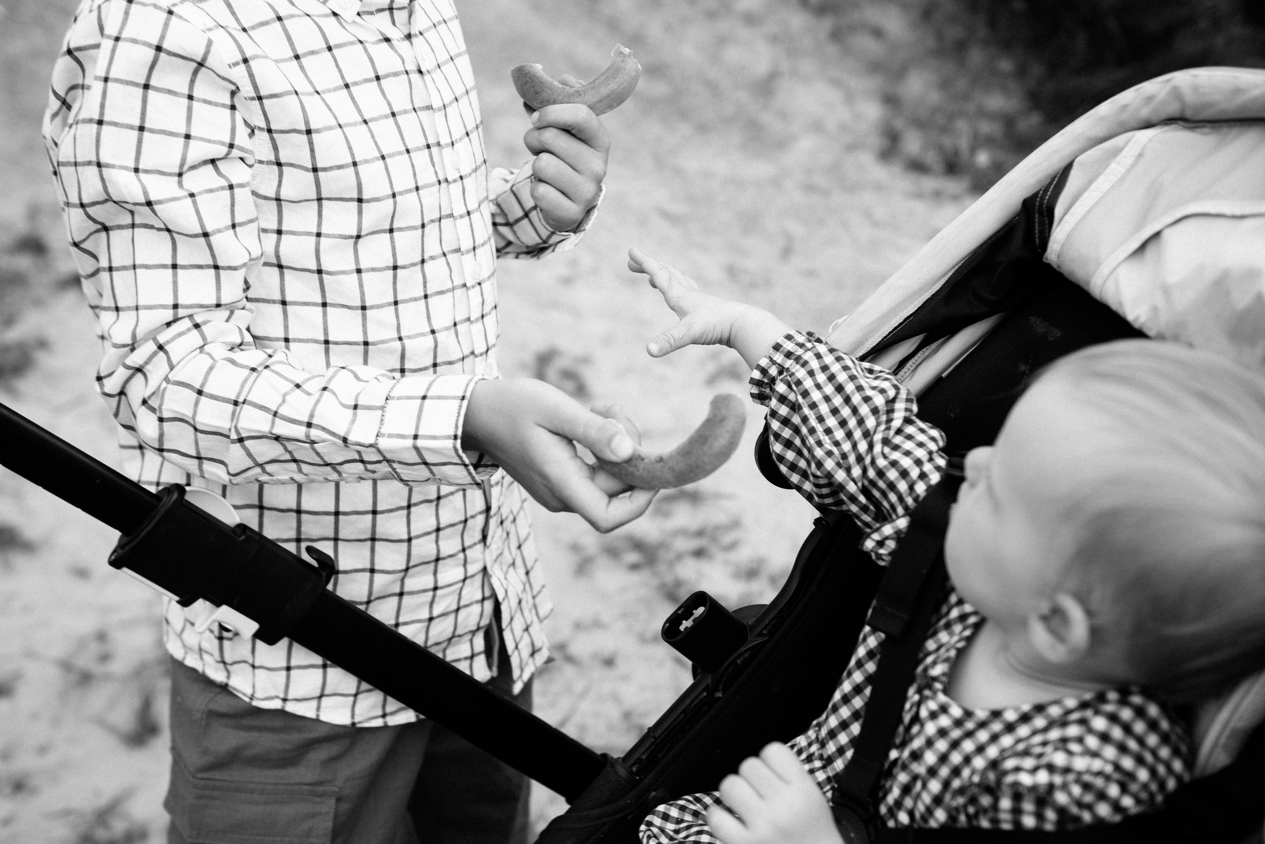 СЕМЬЯ ВАРАКИНЫХ. Фотограф LANA STIL. Семейный, репортажный фотограф, студия. Женский, мужской портрет. Фотографирую территориально в г. Королев, Москва, МО