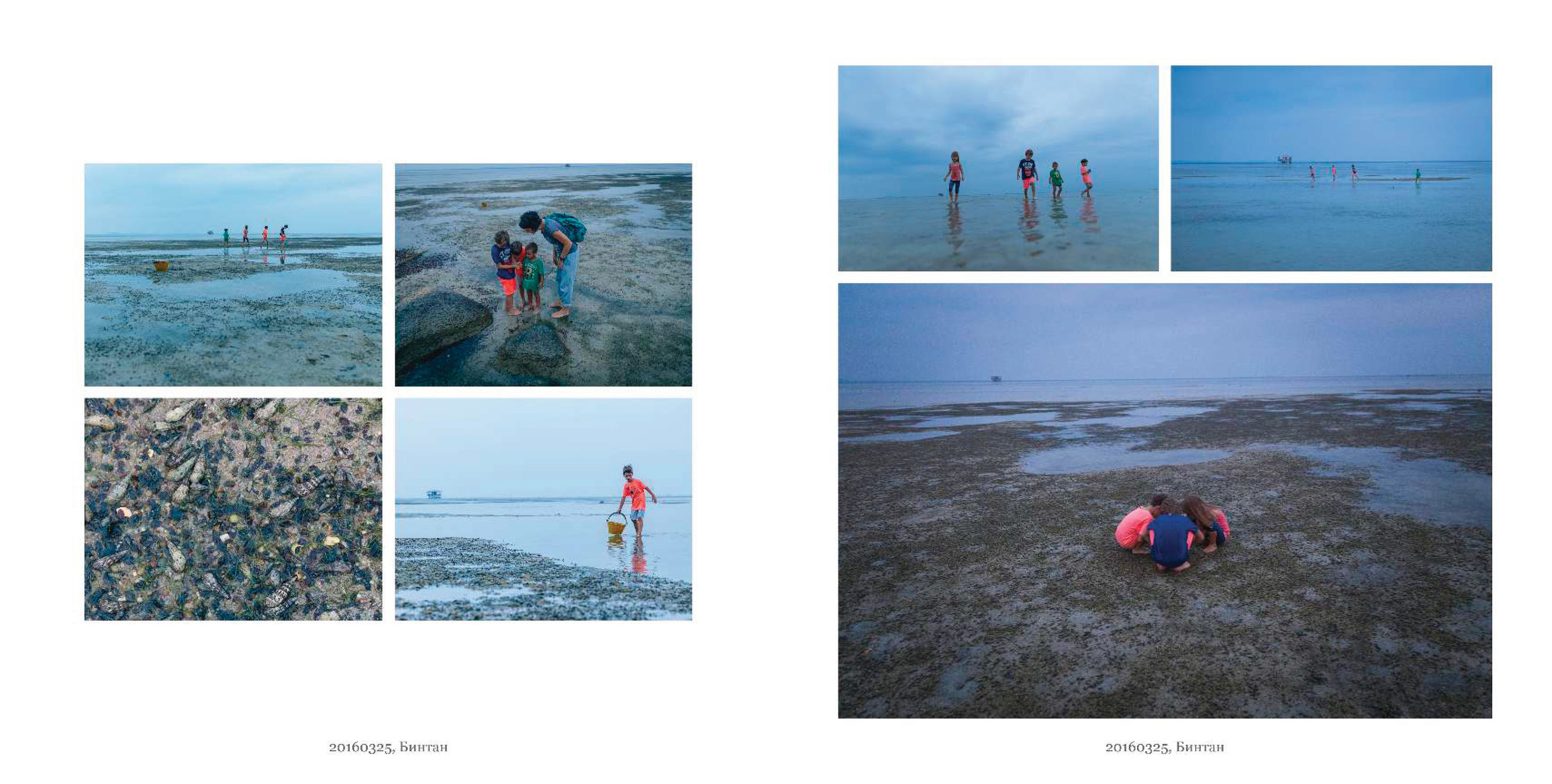 BEST FAMILY BOOK 2017