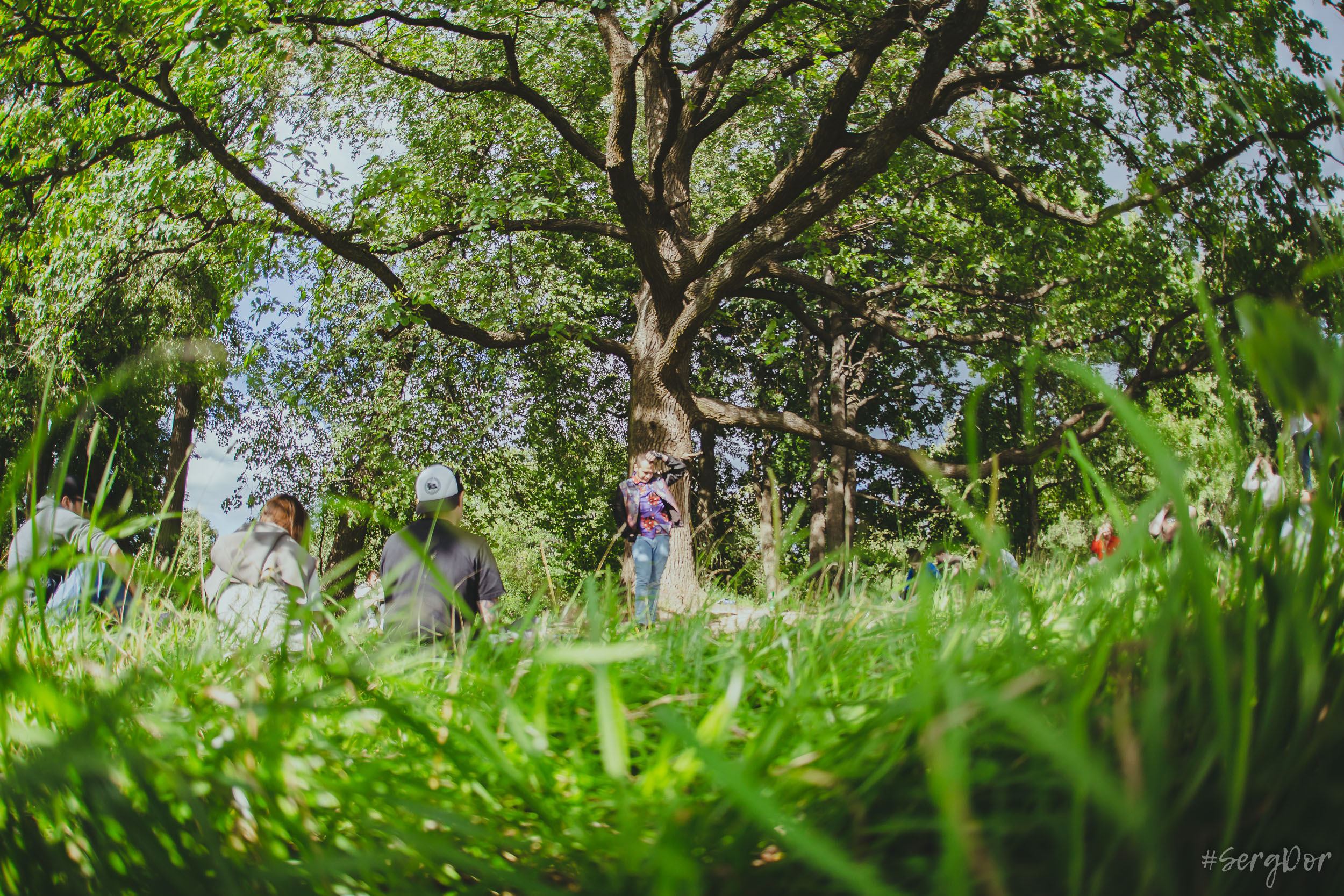 Поэтический пикник Вольности, парк, город Пушкин, 22.07.2023, SergDor, 22 июля 2023 года, #SergDor