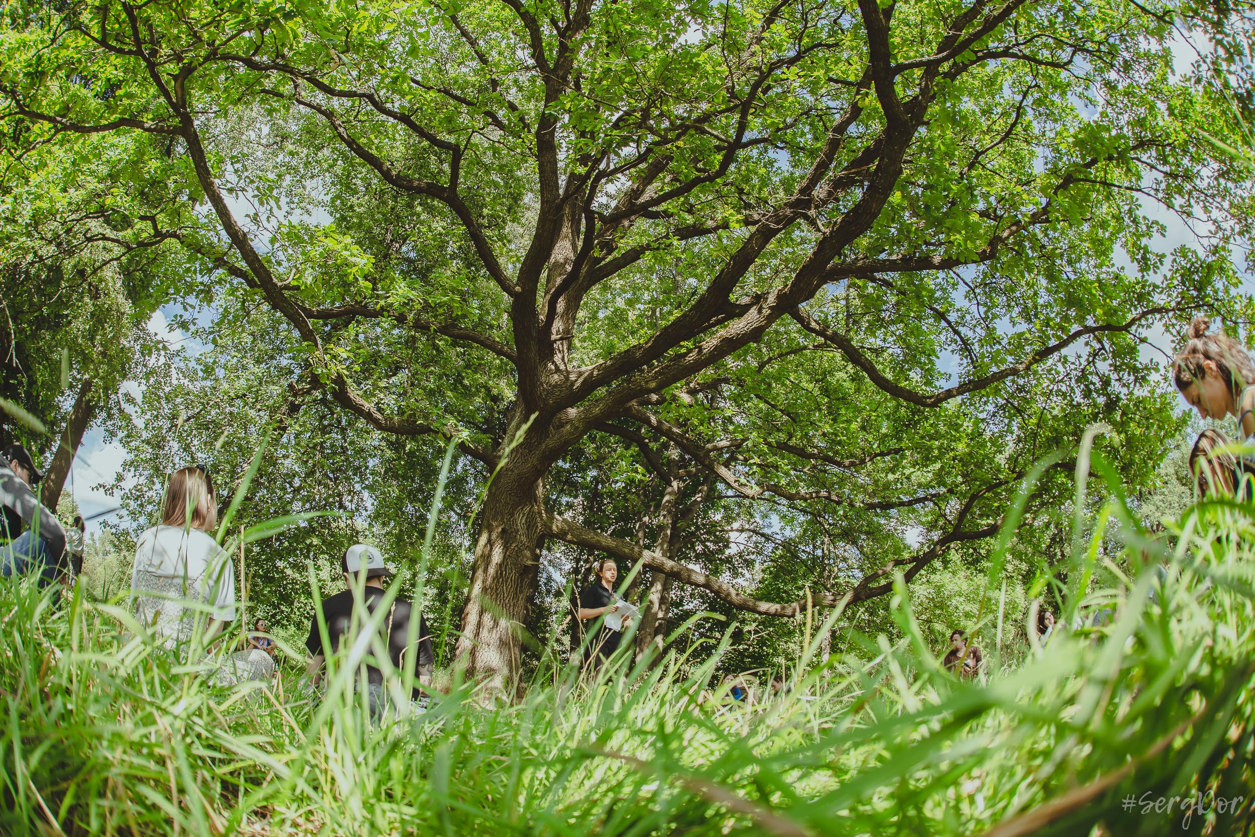 Поэтический пикник Вольности, парк, город Пушкин, 22.07.2023, SergDor, 22 июля 2023 года, #SergDor