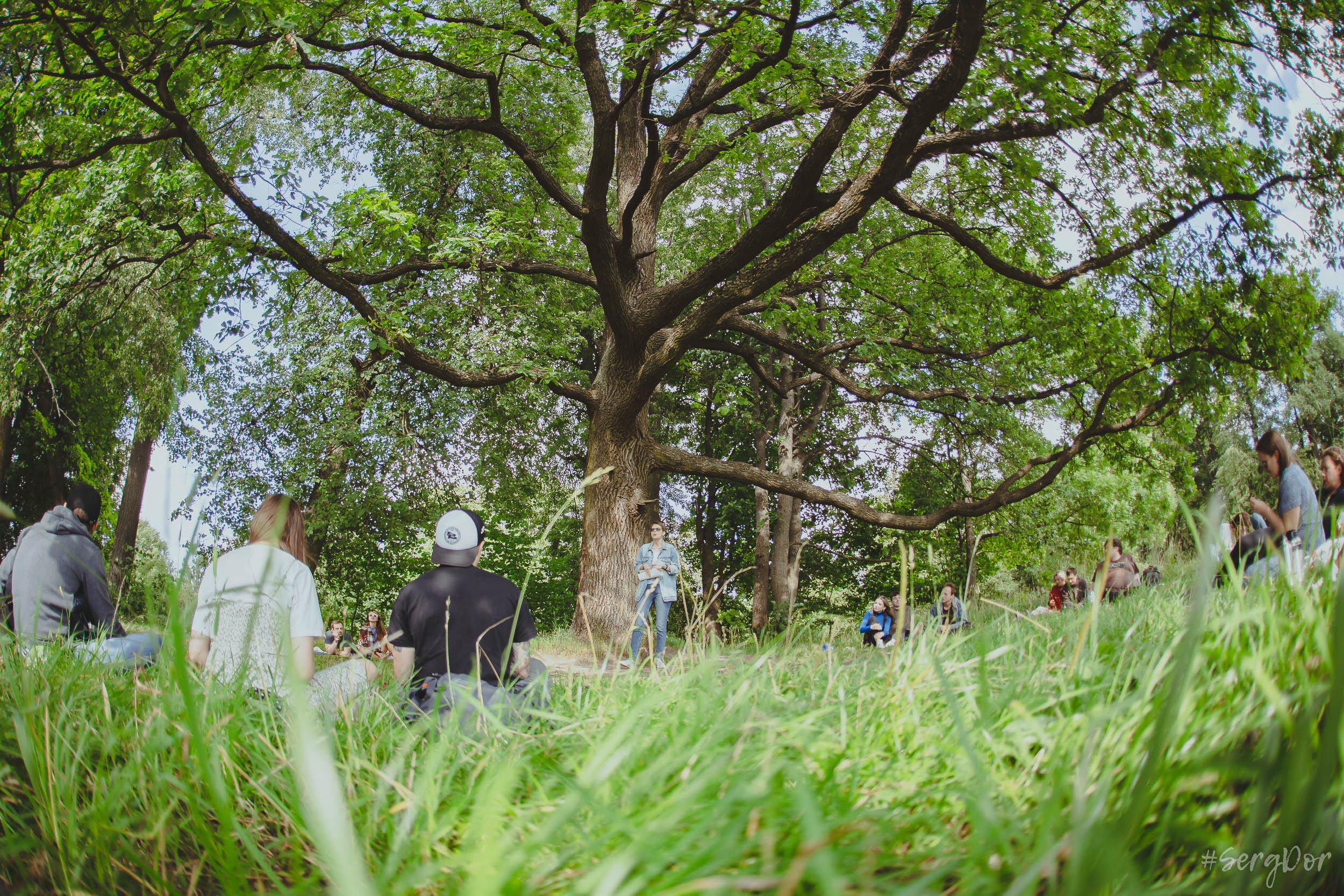 Поэтический пикник Вольности, парк, город Пушкин, 22.07.2023, SergDor, 22 июля 2023 года, #SergDor