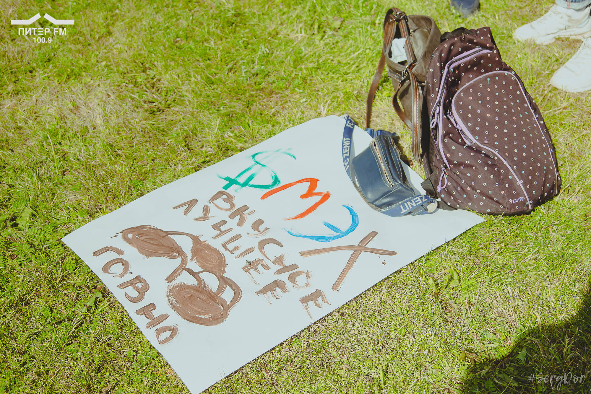 зрители, Окна открой, фестиваль, выступление, 05.08.2023, #SergDor, 5 августа 2023 года, SergDor, Питер ФМ