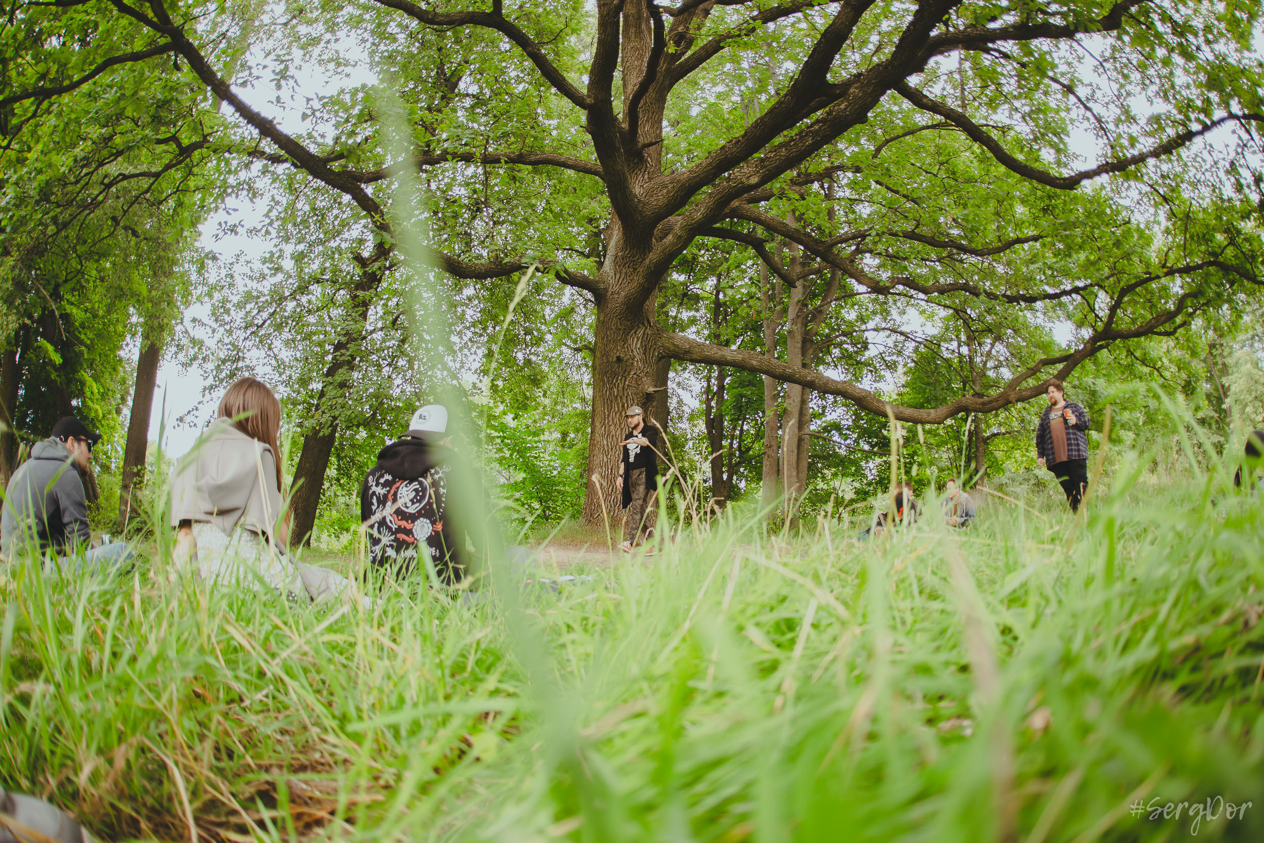 Поэтический пикник Вольности, парк, город Пушкин, 22.07.2023, SergDor, 22 июля 2023 года, #SergDor