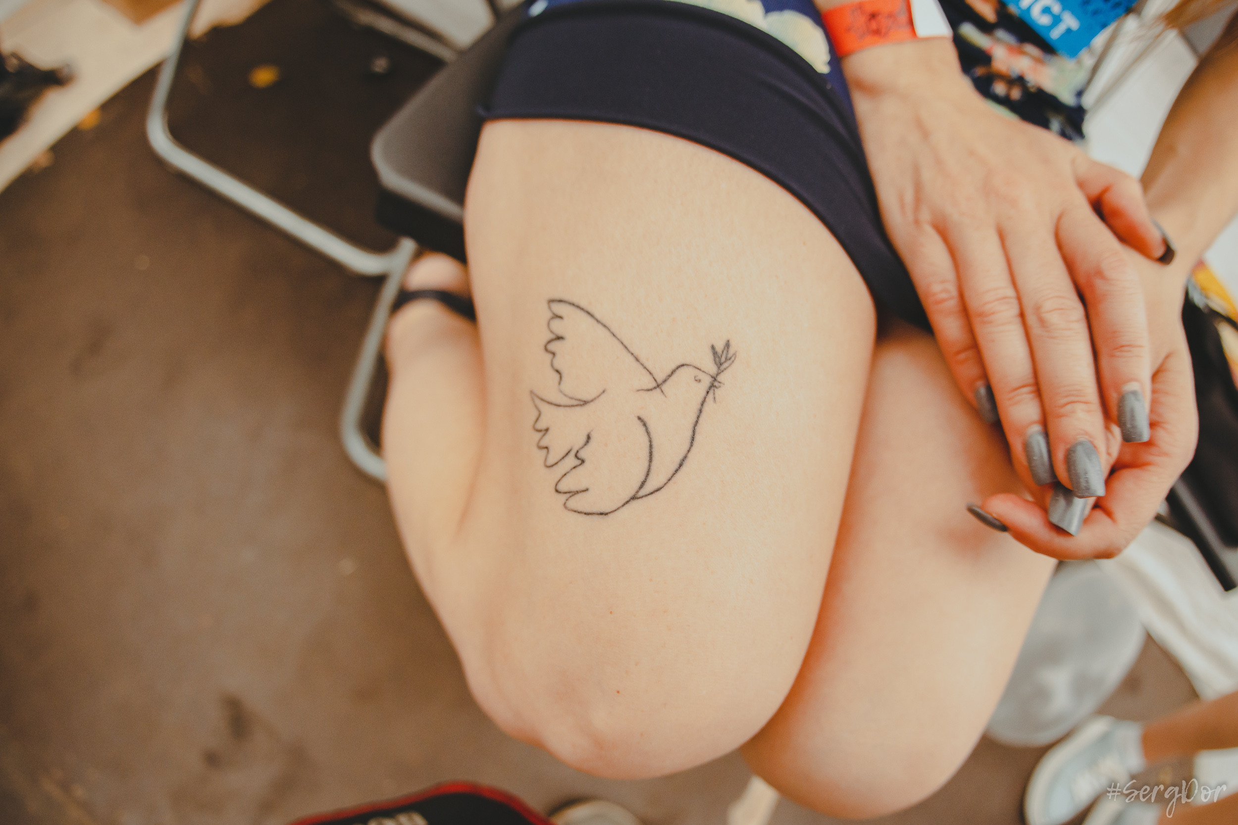 Радиопомехи, фестиваль, Живой, Живой 2023, Сад Меншикова, Санкт-Петербург, 13.08.2023, SergDor, 13 августа 2023 года, #SergDor