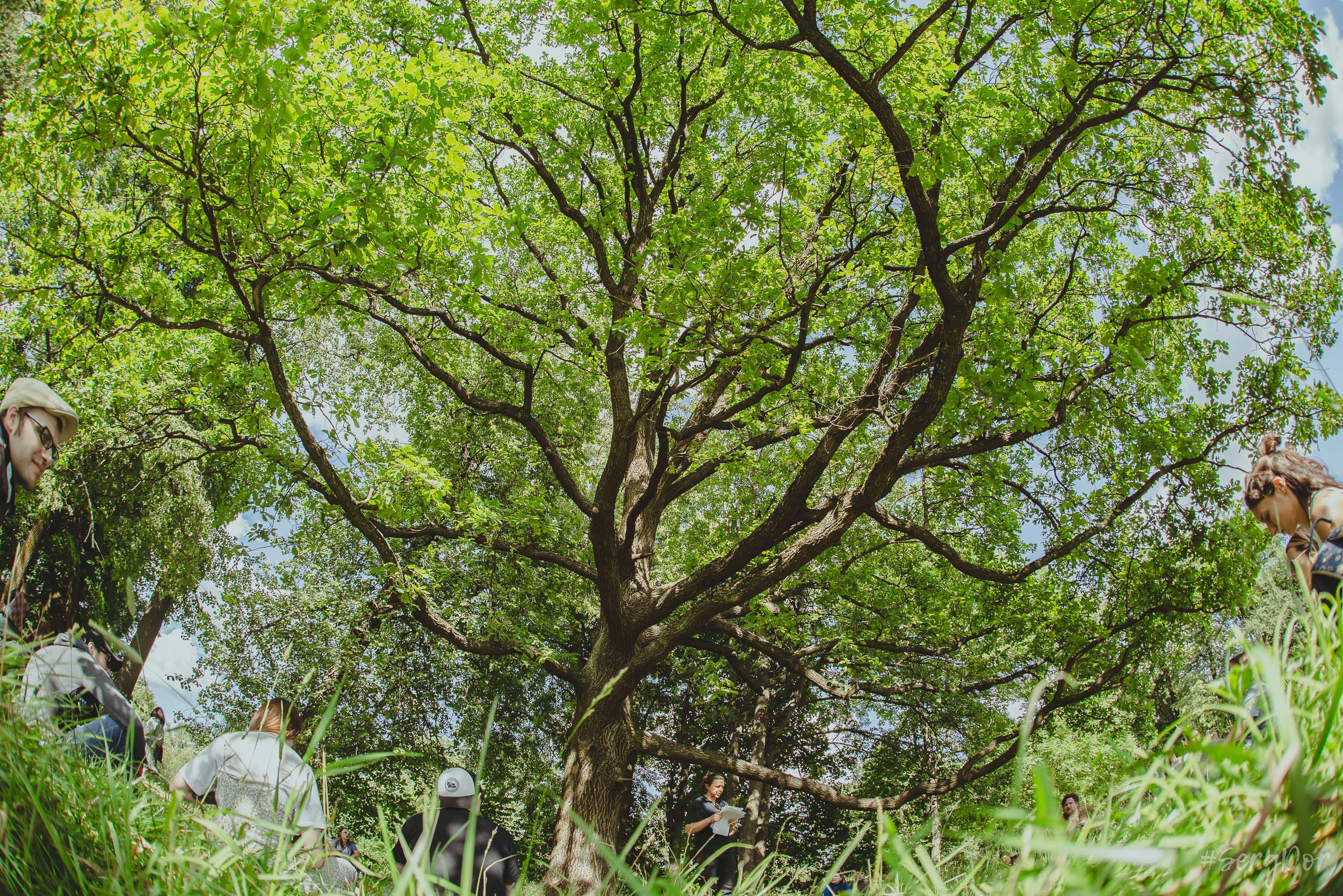 Поэтический пикник Вольности, парк, город Пушкин, 22.07.2023, SergDor, 22 июля 2023 года, #SergDor
